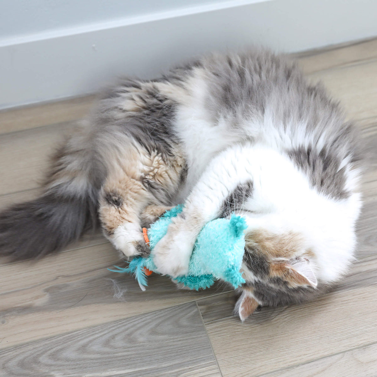 Fluffy cat wrestling and kicking the teal Night Owl Kicker toy on the floor