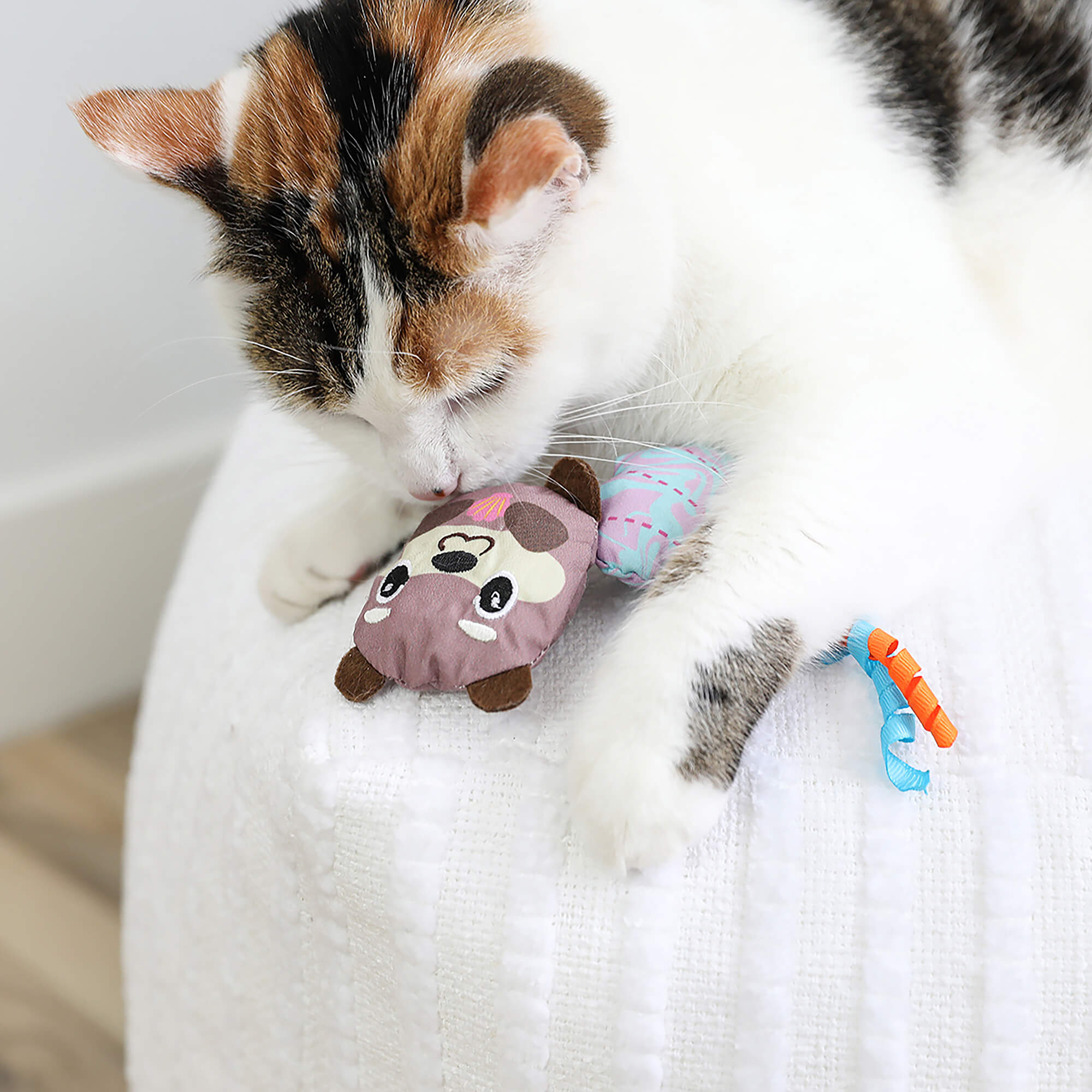 Calico cat on a white blanket sniffing the Otterly Cool otter and seashell toys