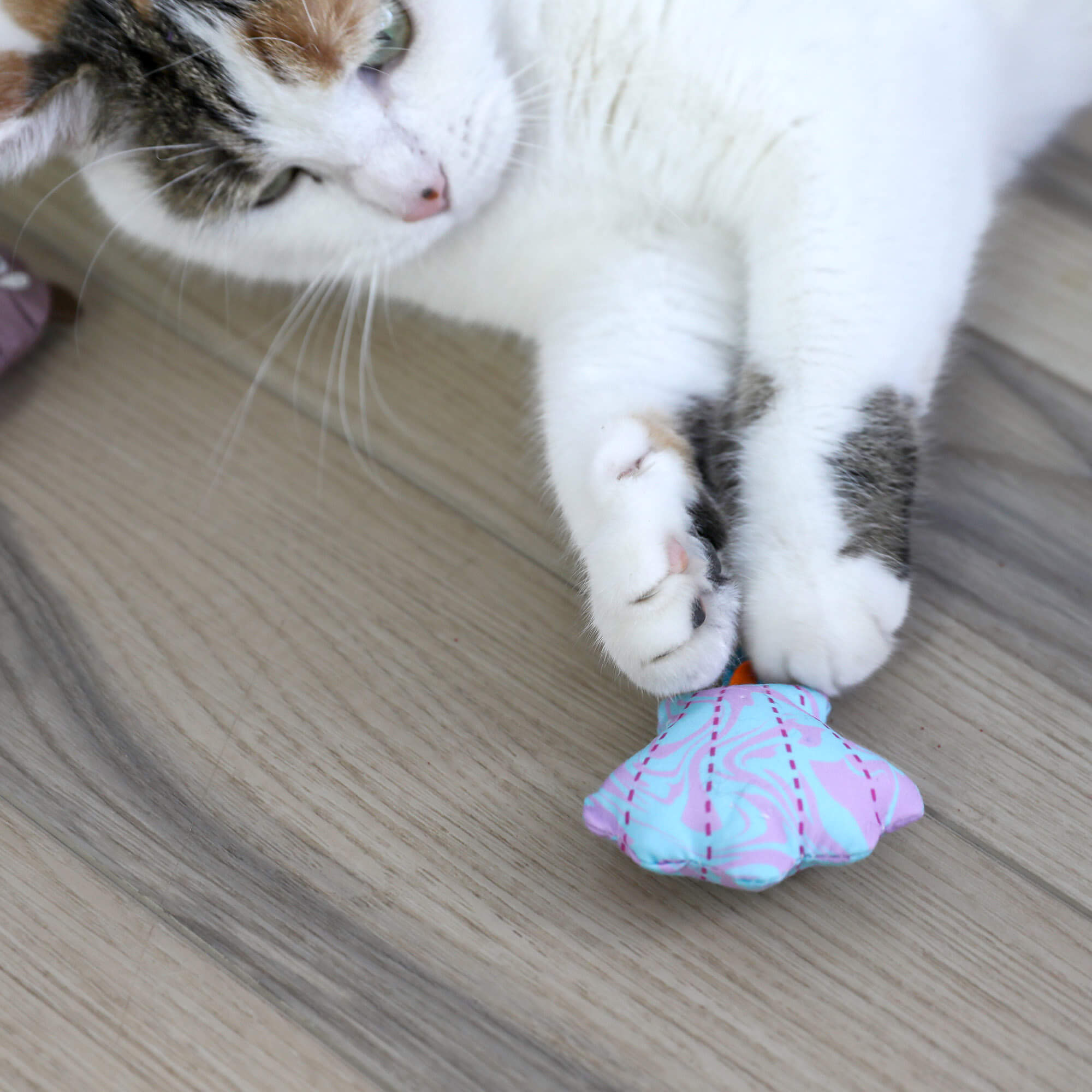 Calico cat lying on a wood floor holding the Otterly Cool seashell toy