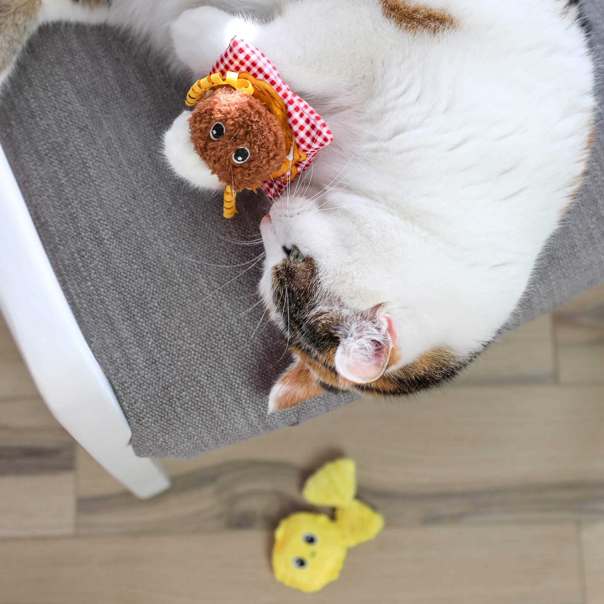 Calico cat sniffing the Quirky Kitty Pasta Pals meatball toy with ravioli on the floor below