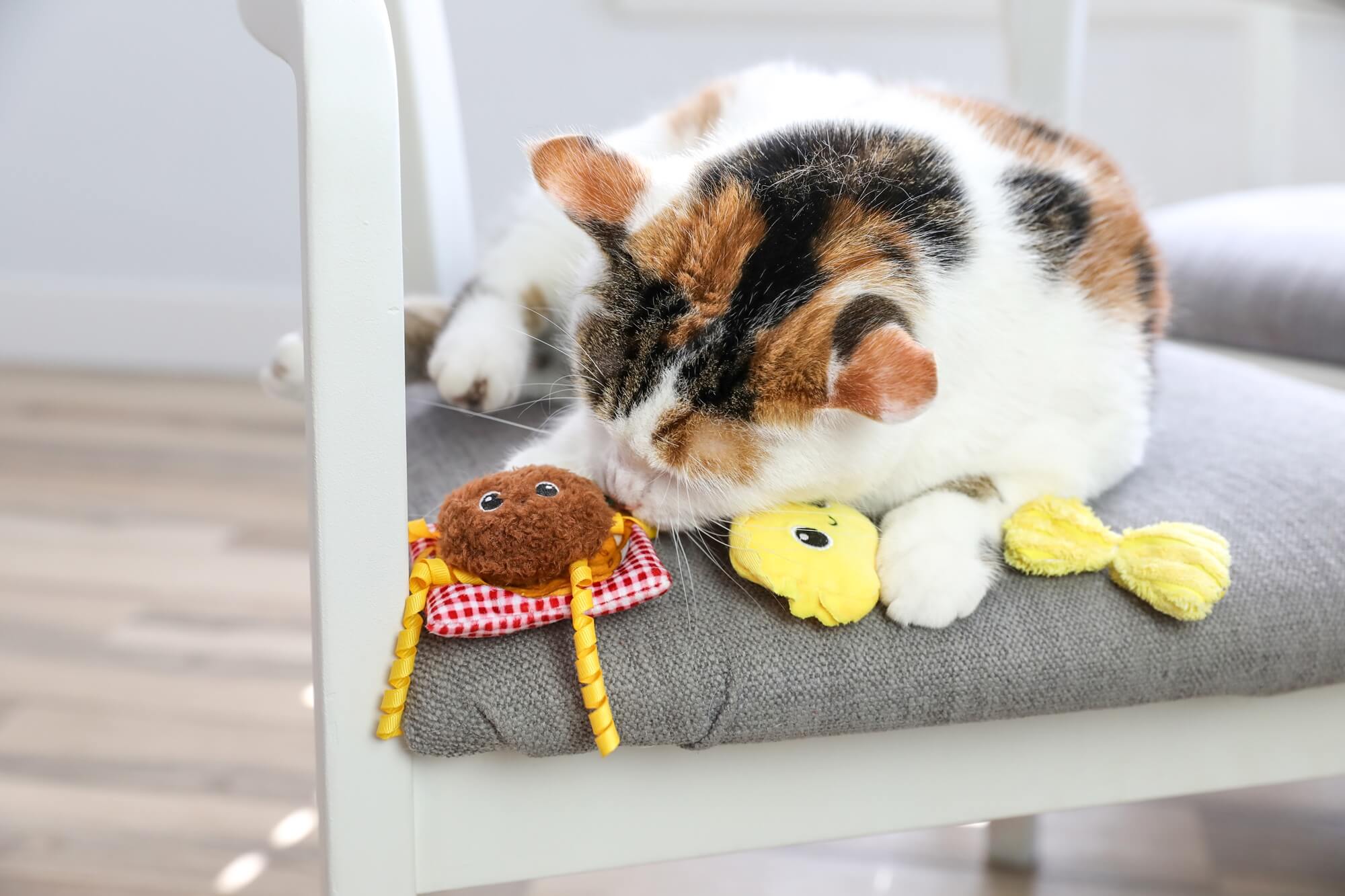 Calico cat lying on a gray cushion beside all three Quirky Kitty Pasta Pals toys