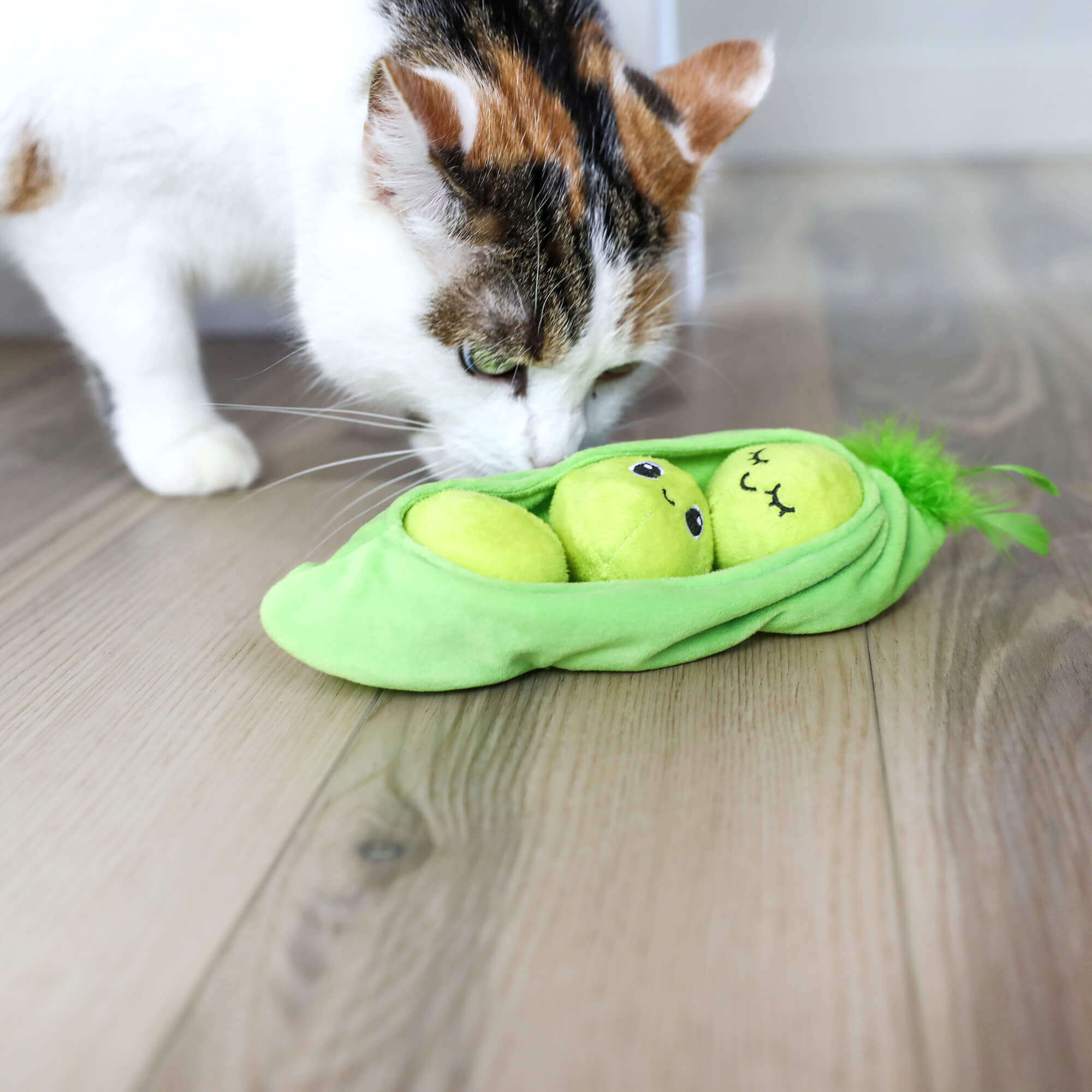 Calico cat sniffing the Pea Pawd Kicker pea pod with peas on a hardwood floor