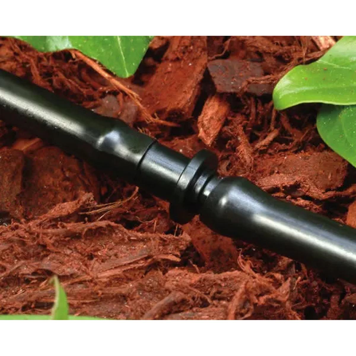 Rain Bird XBF1CONN 1/4 in. Barb Coupling -- lifestyle
