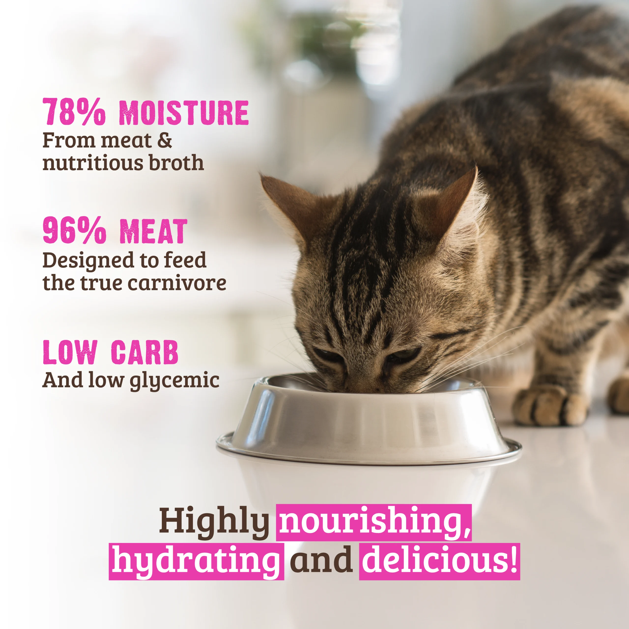 Cat eating RAWZ pate: 78% moisture from meat and broth, 96% meat for true carnivores, low carb and low glycemic