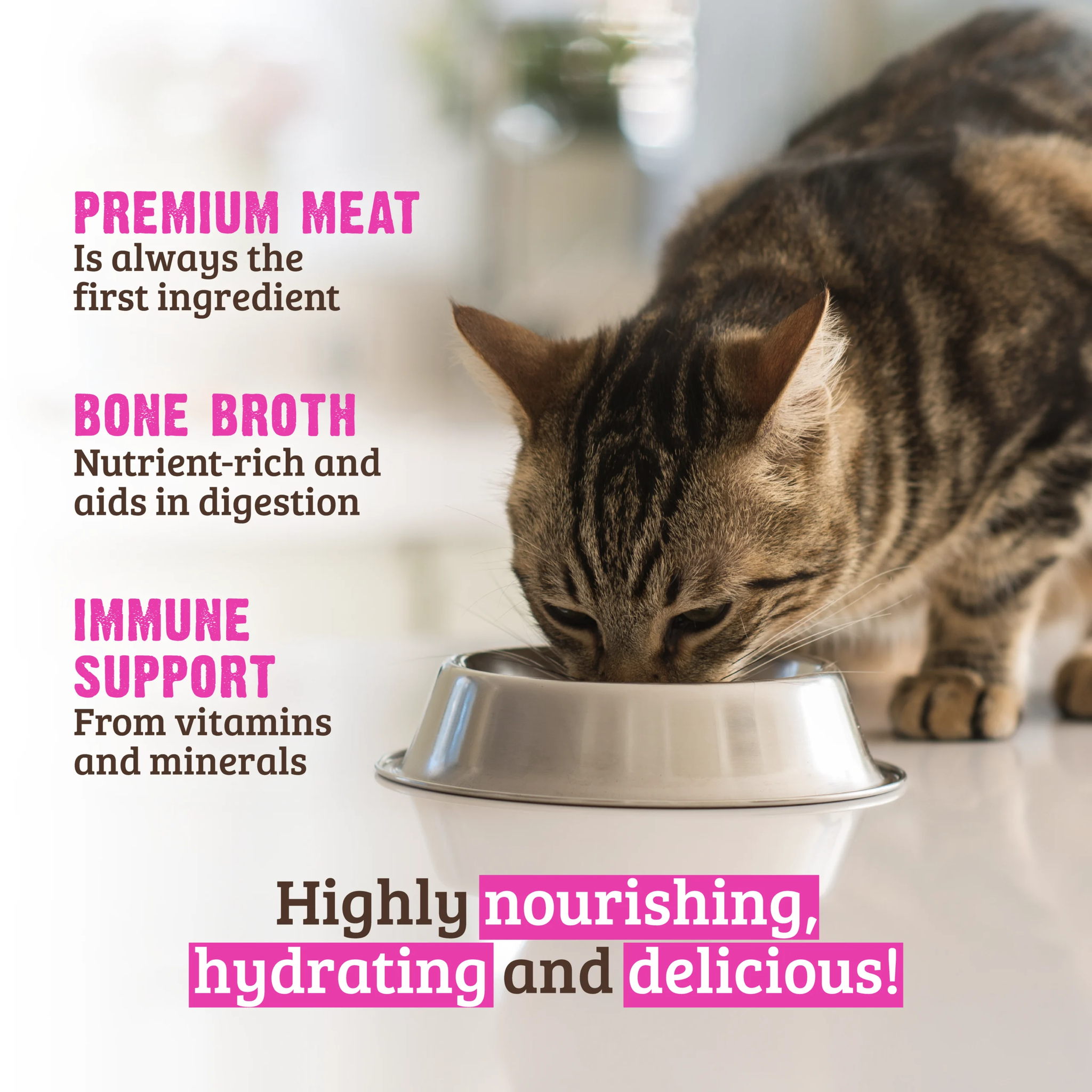 Cat eating RAWZ gravy recipe: premium meat is the first ingredient, nutrient-rich bone broth aids digestion, and vitamins and minerals support the immune system