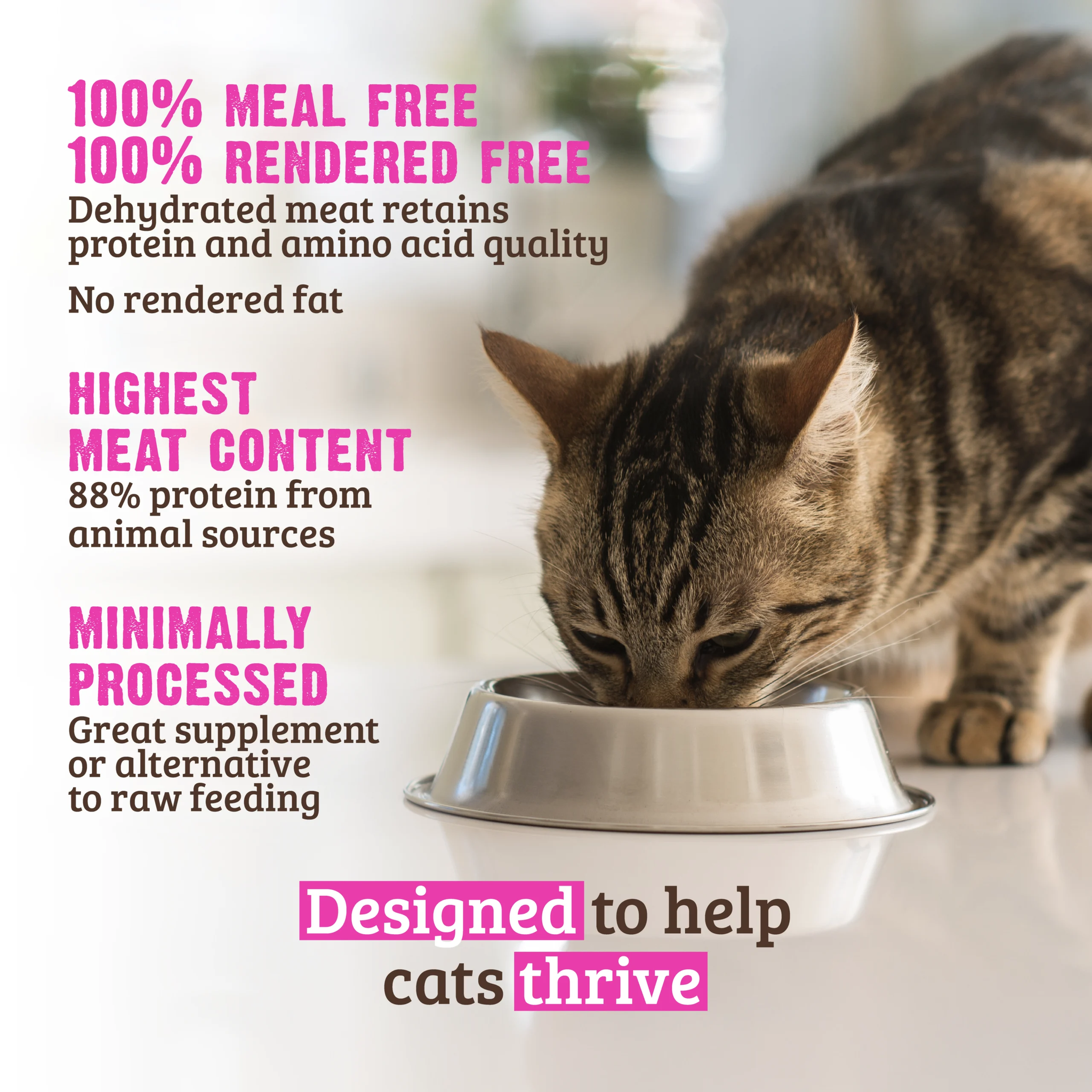 Cat eating RAWZ dry food: 100% meal free and rendered free, 88% protein from animal sources, minimally processed