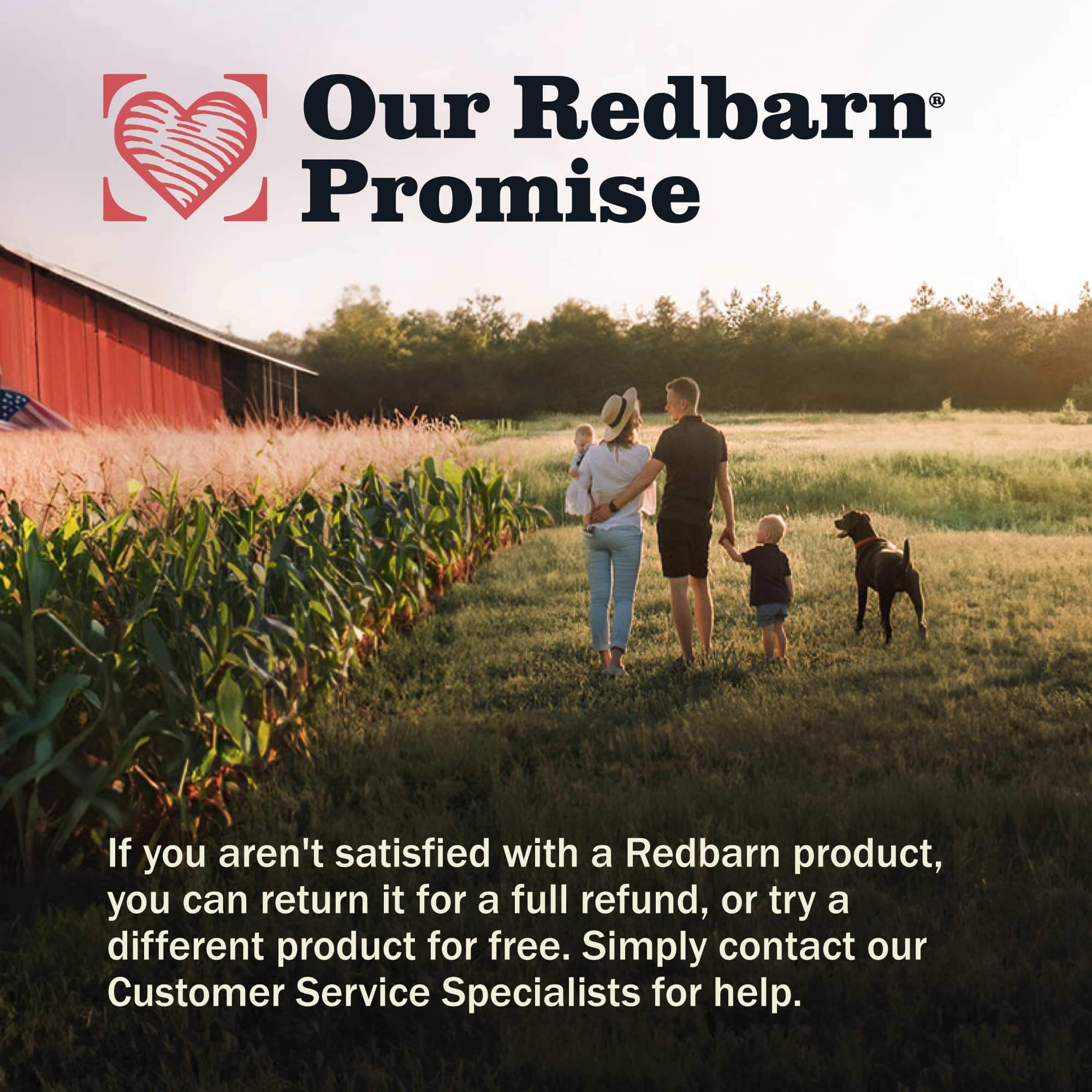 Redbarn Braided Bully Stick promise