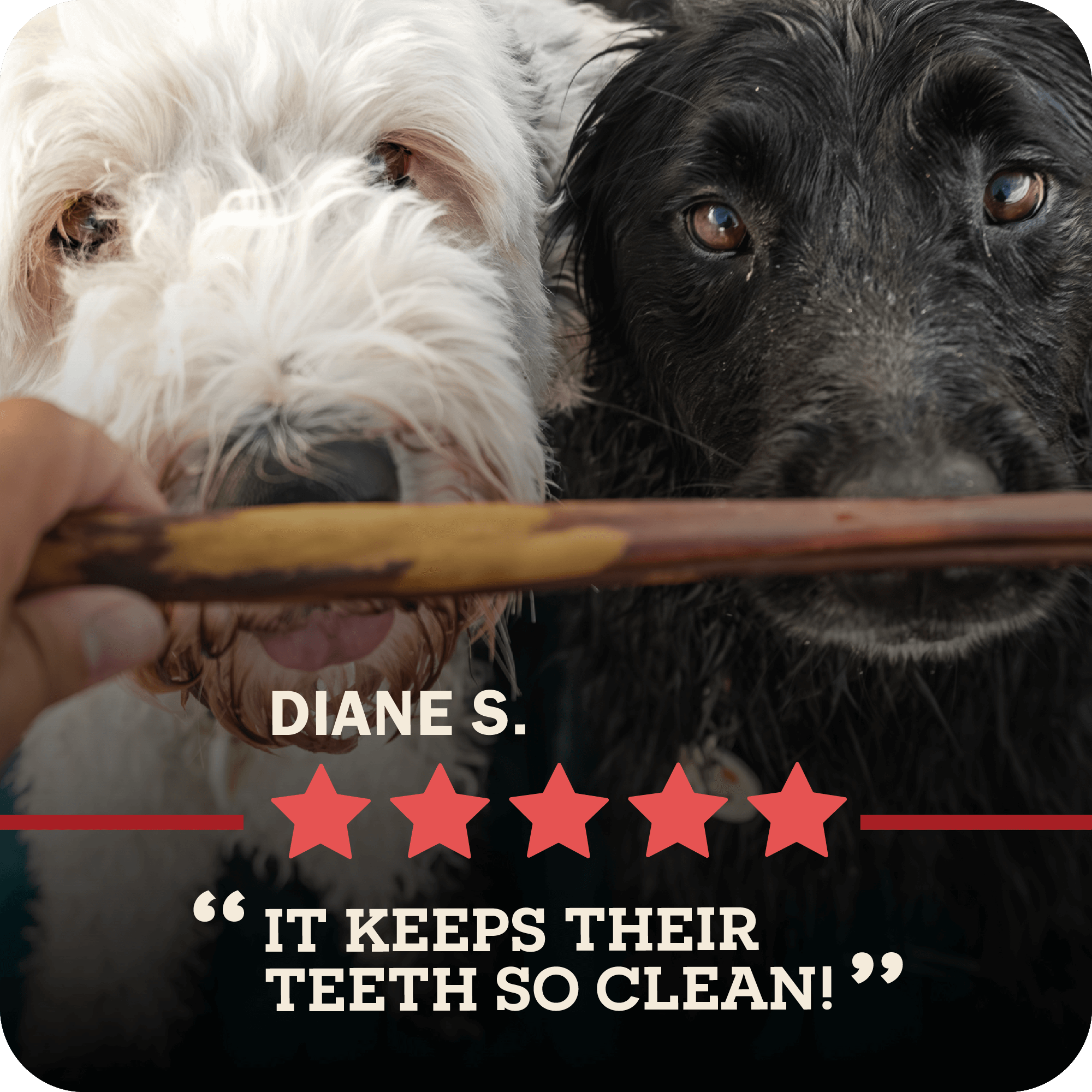 Redbarn Odor-Free Bully Stick bully collection feature panel