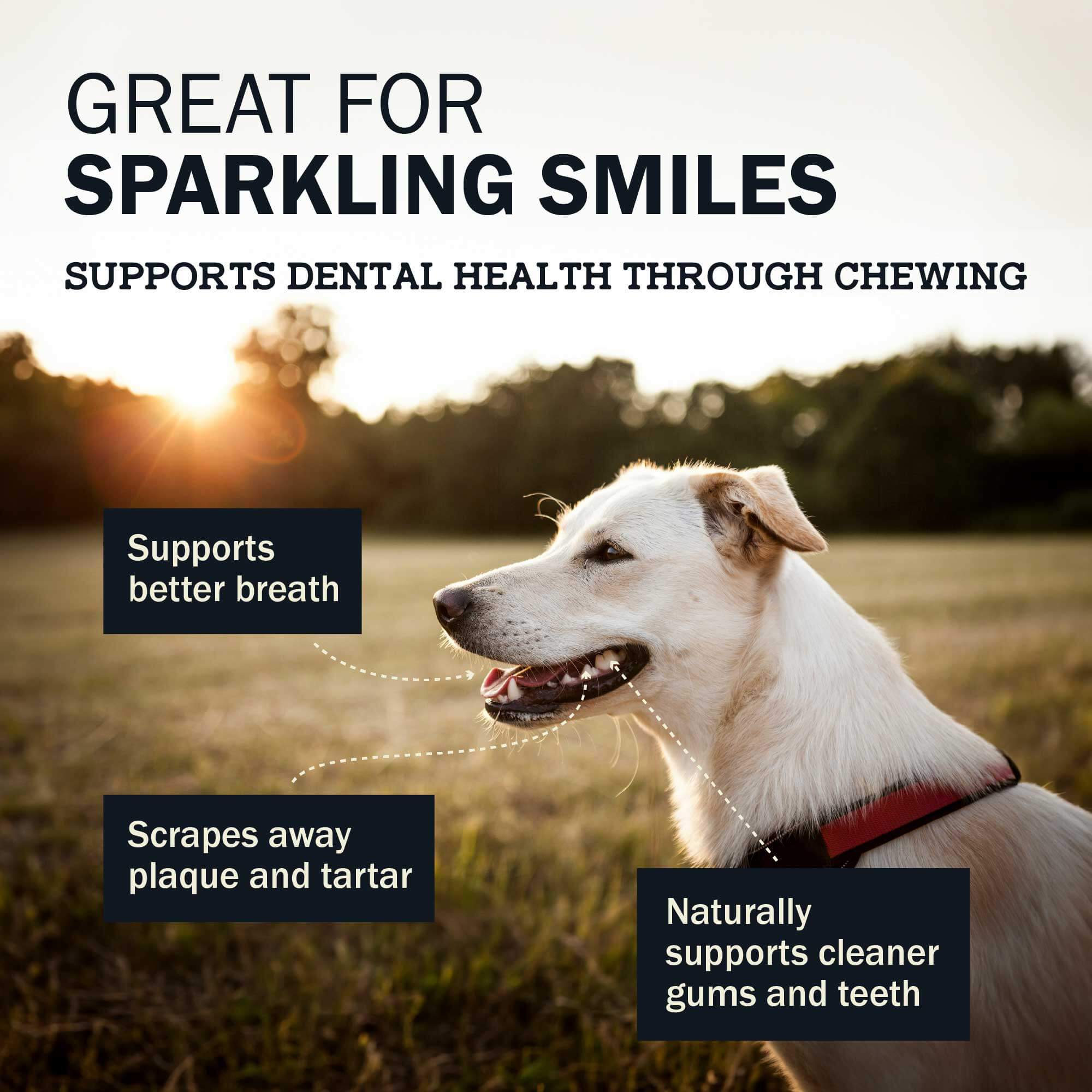 Redbarn Dur-A-Bulls Bone Hickory BBQ Flavor dental health benefits