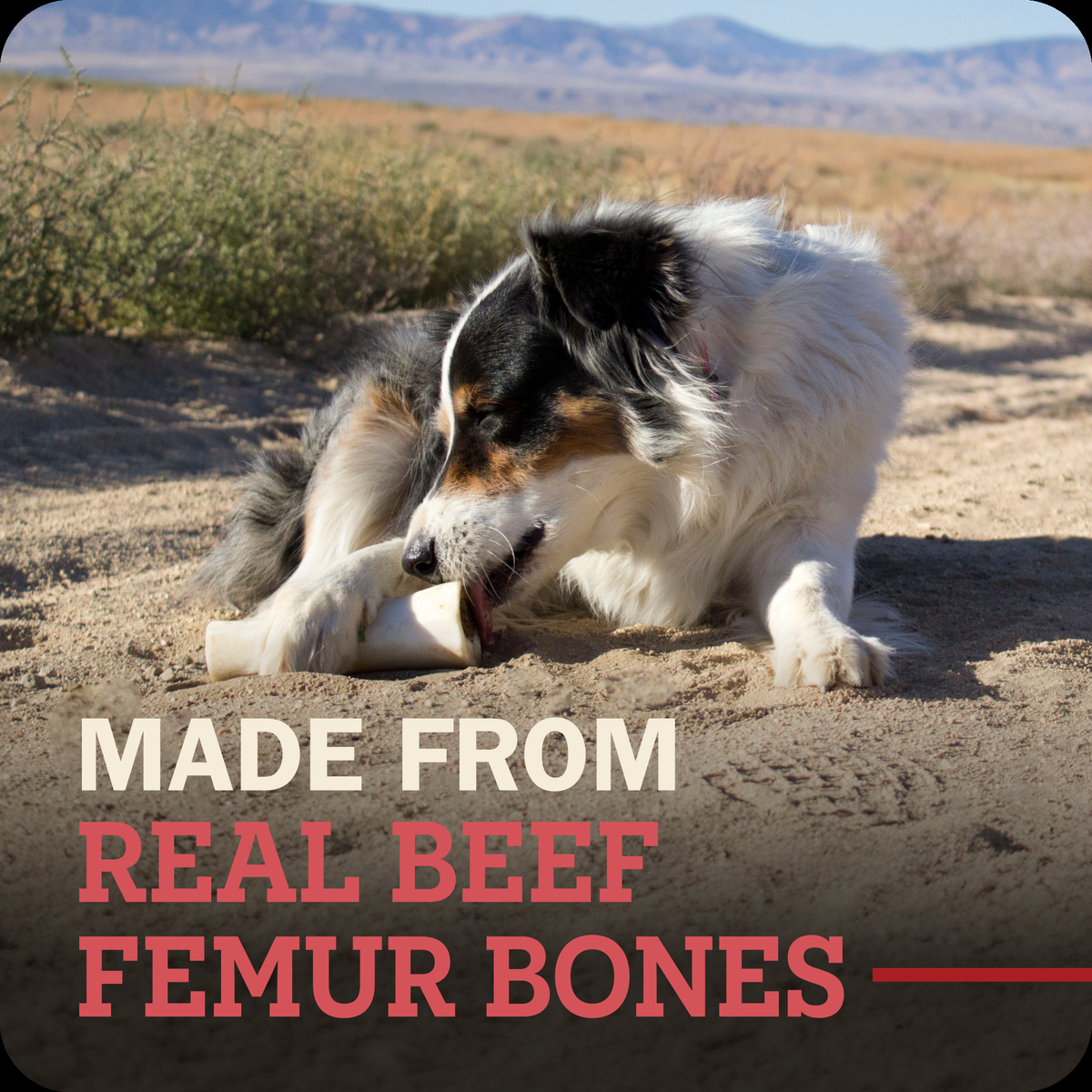 Redbarn Filled Bone Beef Flavor -- feature panel 7