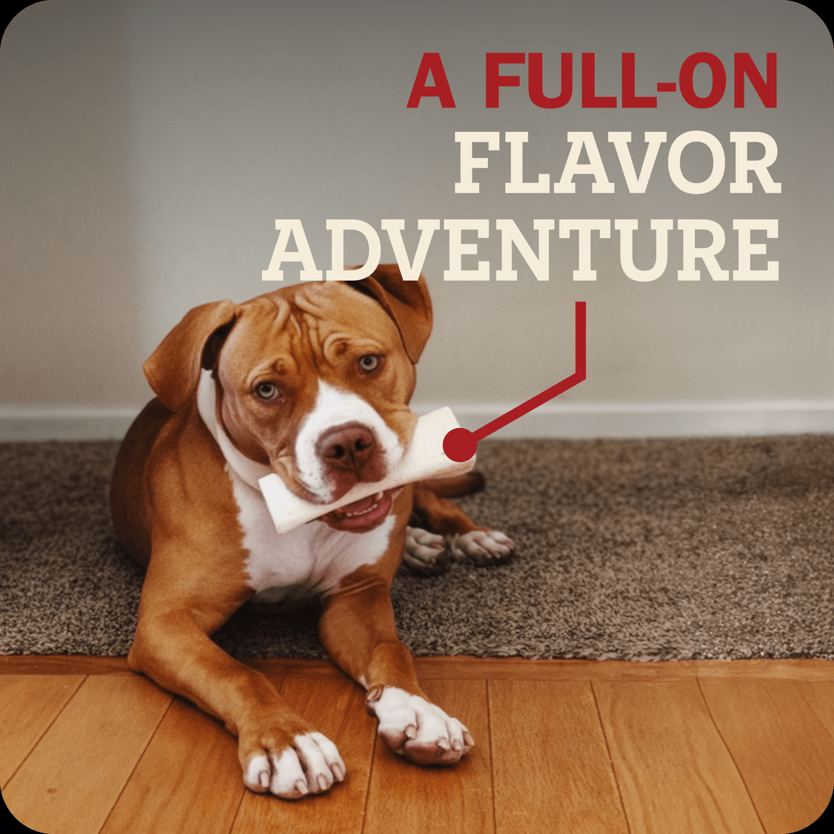 Redbarn Filled Bone Beef Flavor -- feature panel 8