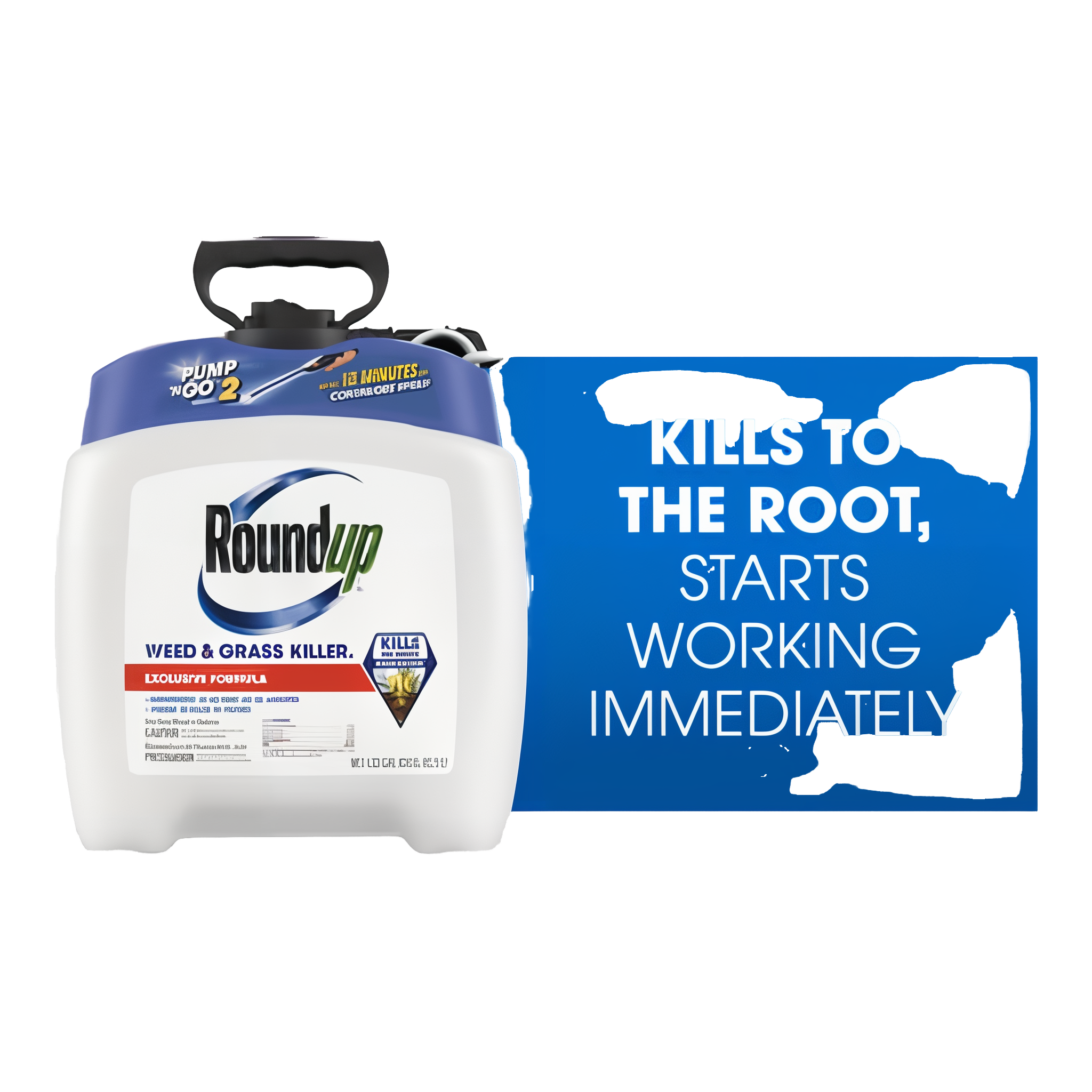 Roundup Weed & Grass Killer with Pump N Go 2 Sprayer