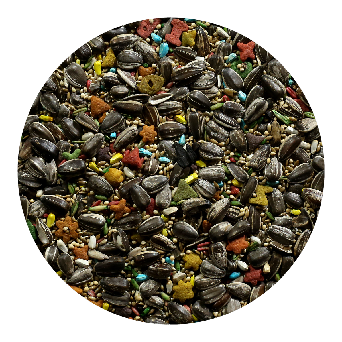 Scarlett Nutra Cockatiel Bird Food seed mix 10 LB