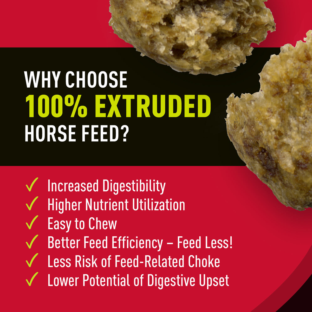 Sentinel Active Senior Horse Feed sentinel activesenior pdp 1500x1500 extruded