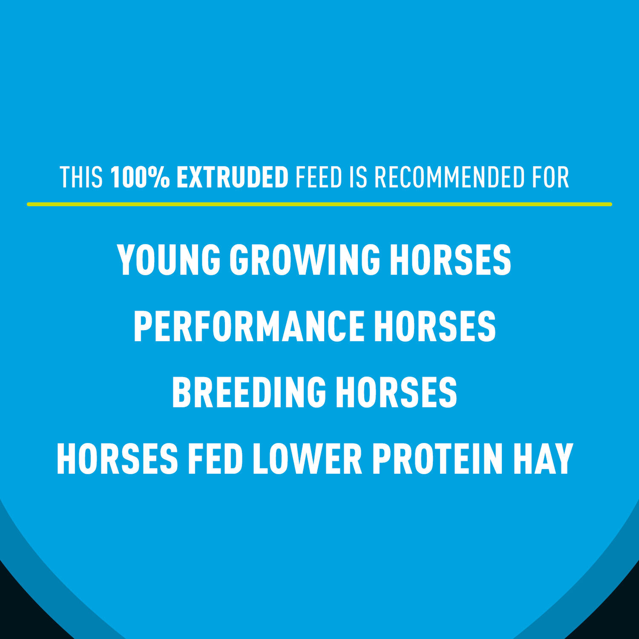 Sentinel Grow & Excel Horse Feed kbs sentinel growexcel pdp 1500x1500 designedfor