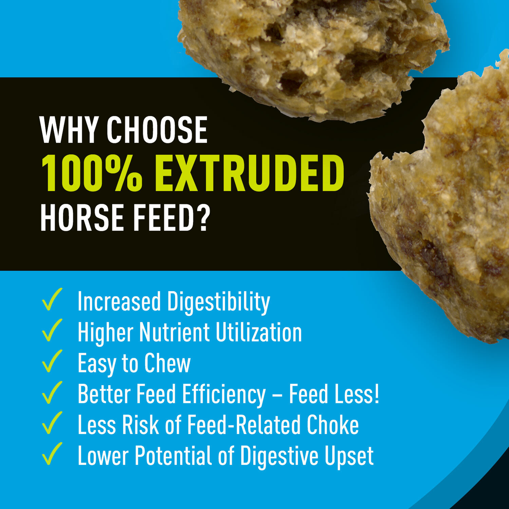 Sentinel Grow & Excel Horse Feed sentinel growexcel pdp 1500x1500 extruded