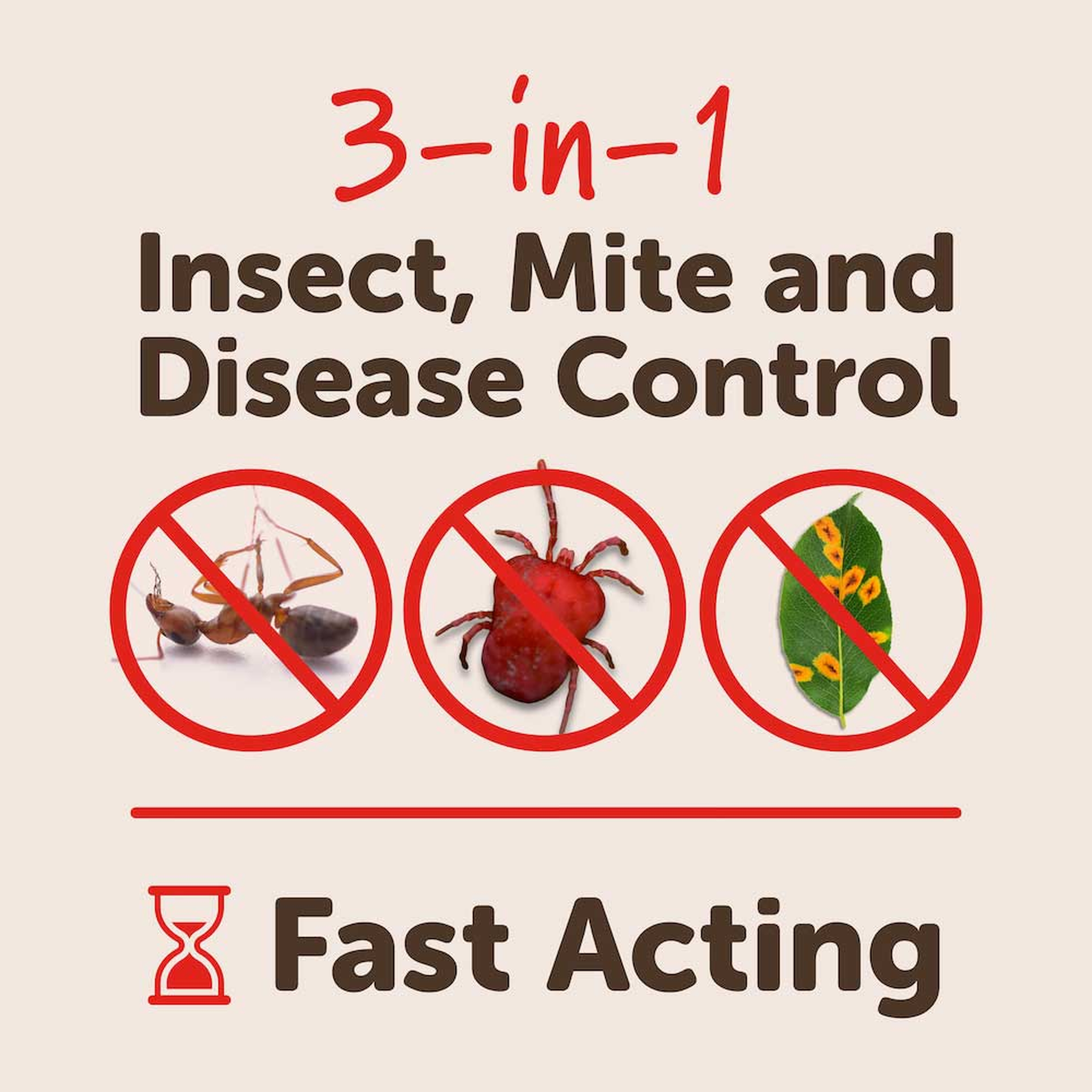 Fast acting 3-in-1 insect, mite and disease control