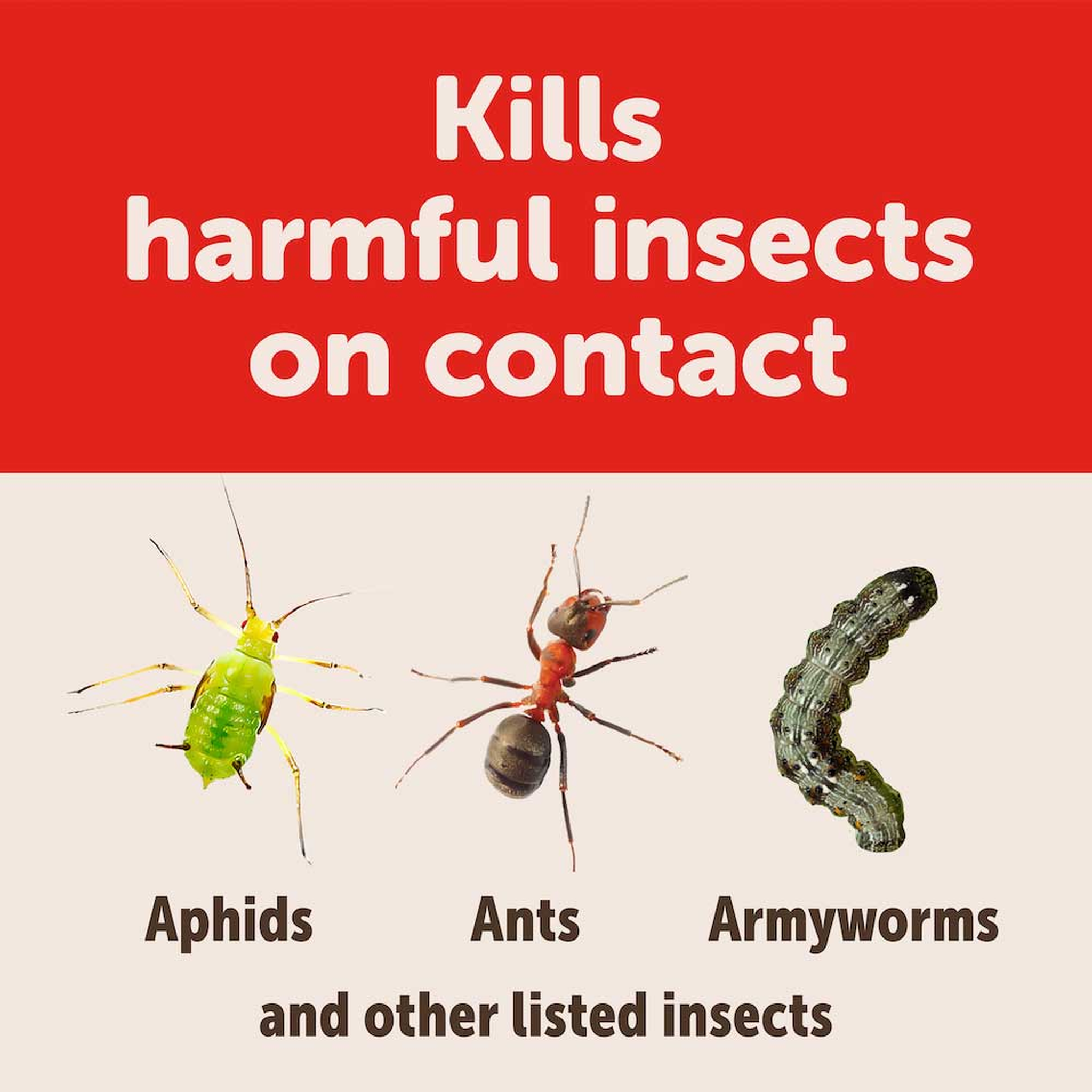 Kills harmful insects on contact including aphids, ants and armyworms