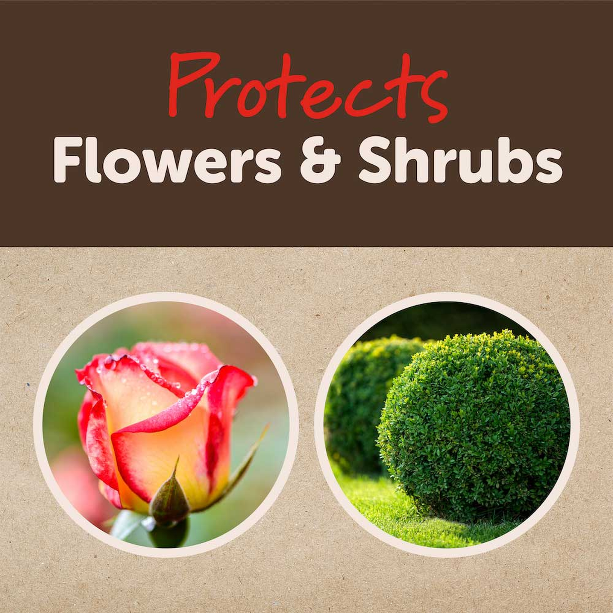 Protects flowers and shrubs including roses and boxwood