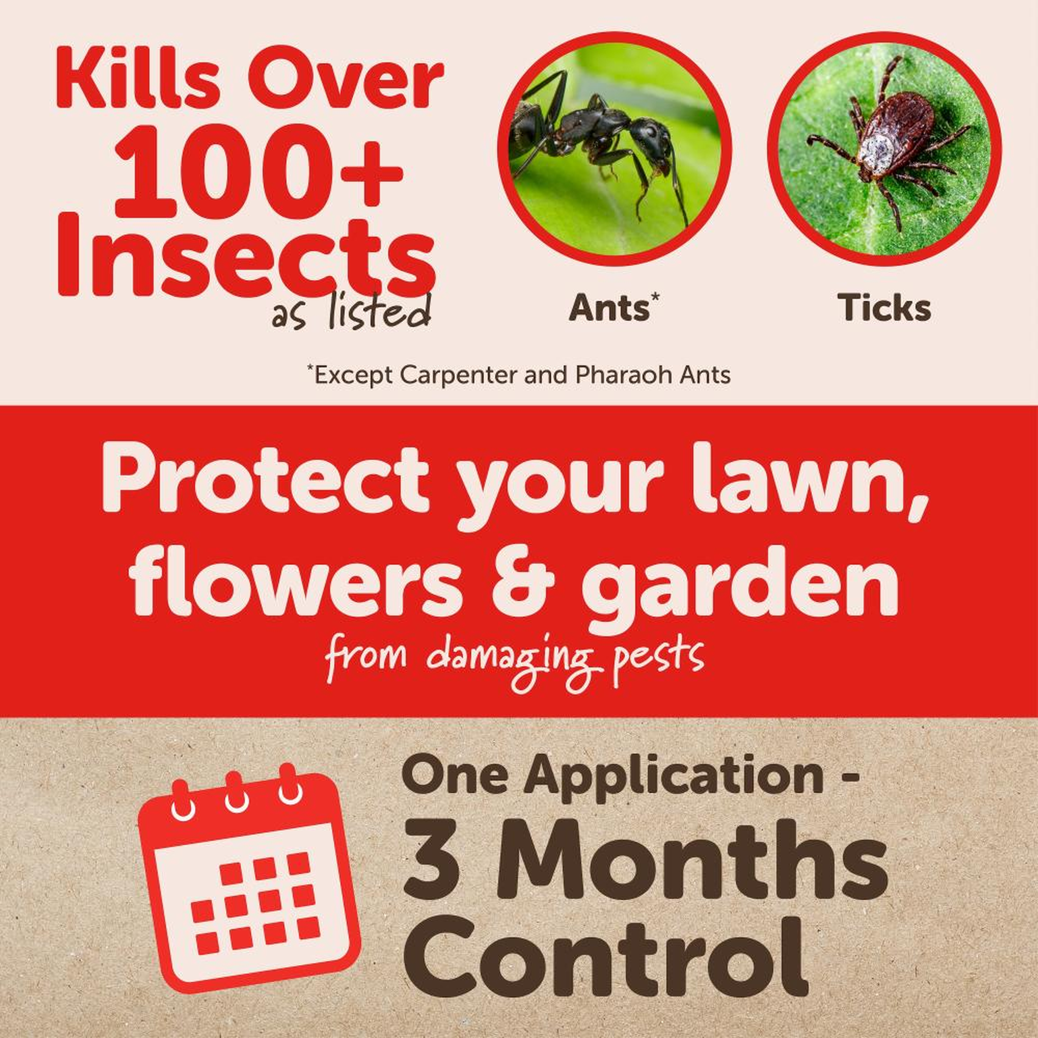Kills over 100 listed insects including ants and ticks with one application for 3 months of control
