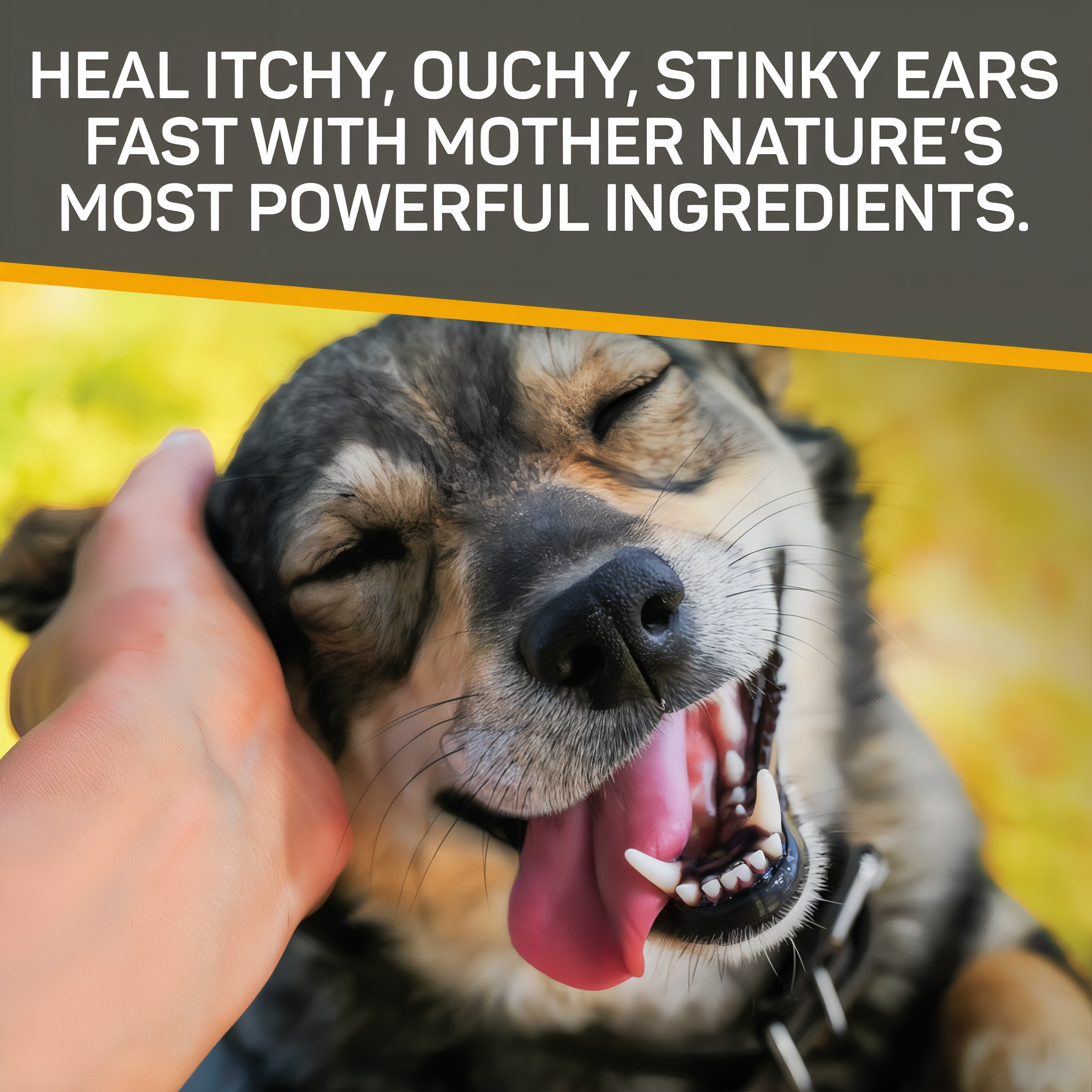 Silver Honey vet strength ear treatment, heal itchy, stinky ears fast