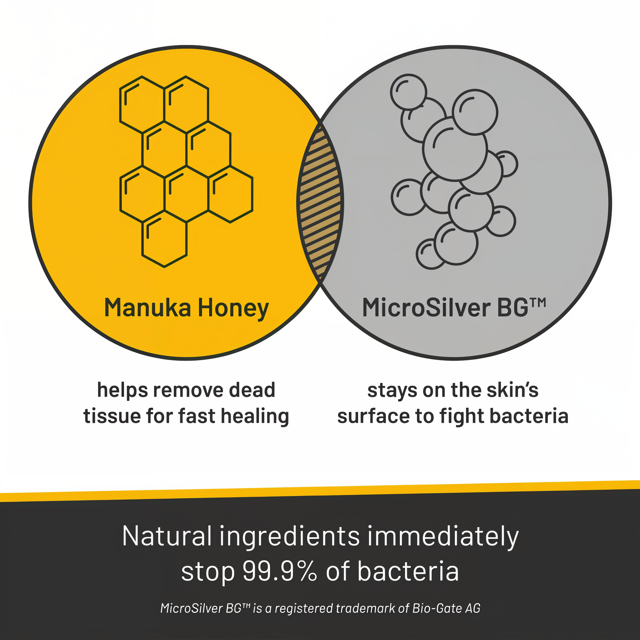 Silver Honey vet strength ear treatment, Manuka Honey and MicroSilver BG stop 99.9 percent of bacteria