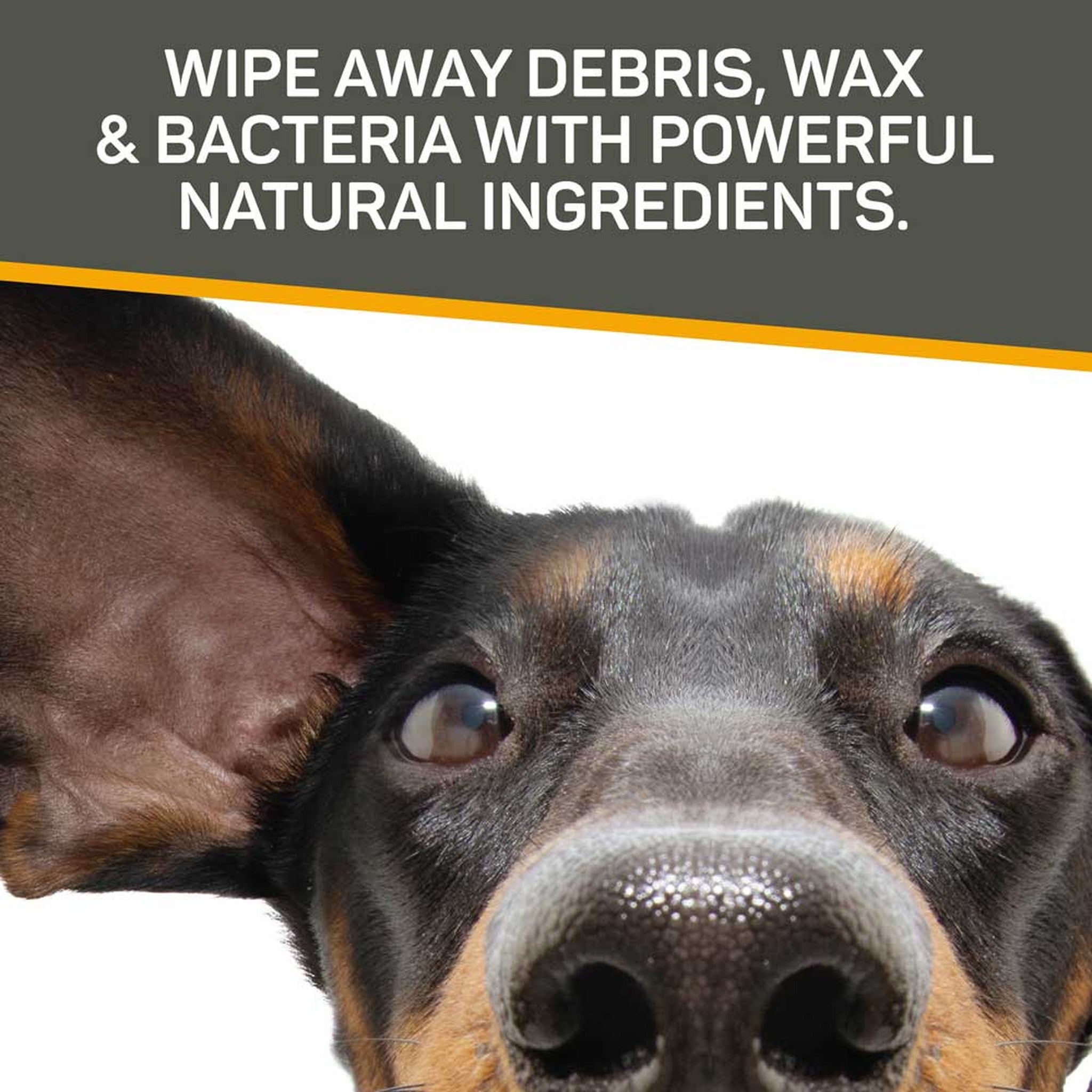 Silver Honey vet strength pet ear wipes, wipe away debris, wax and bacteria