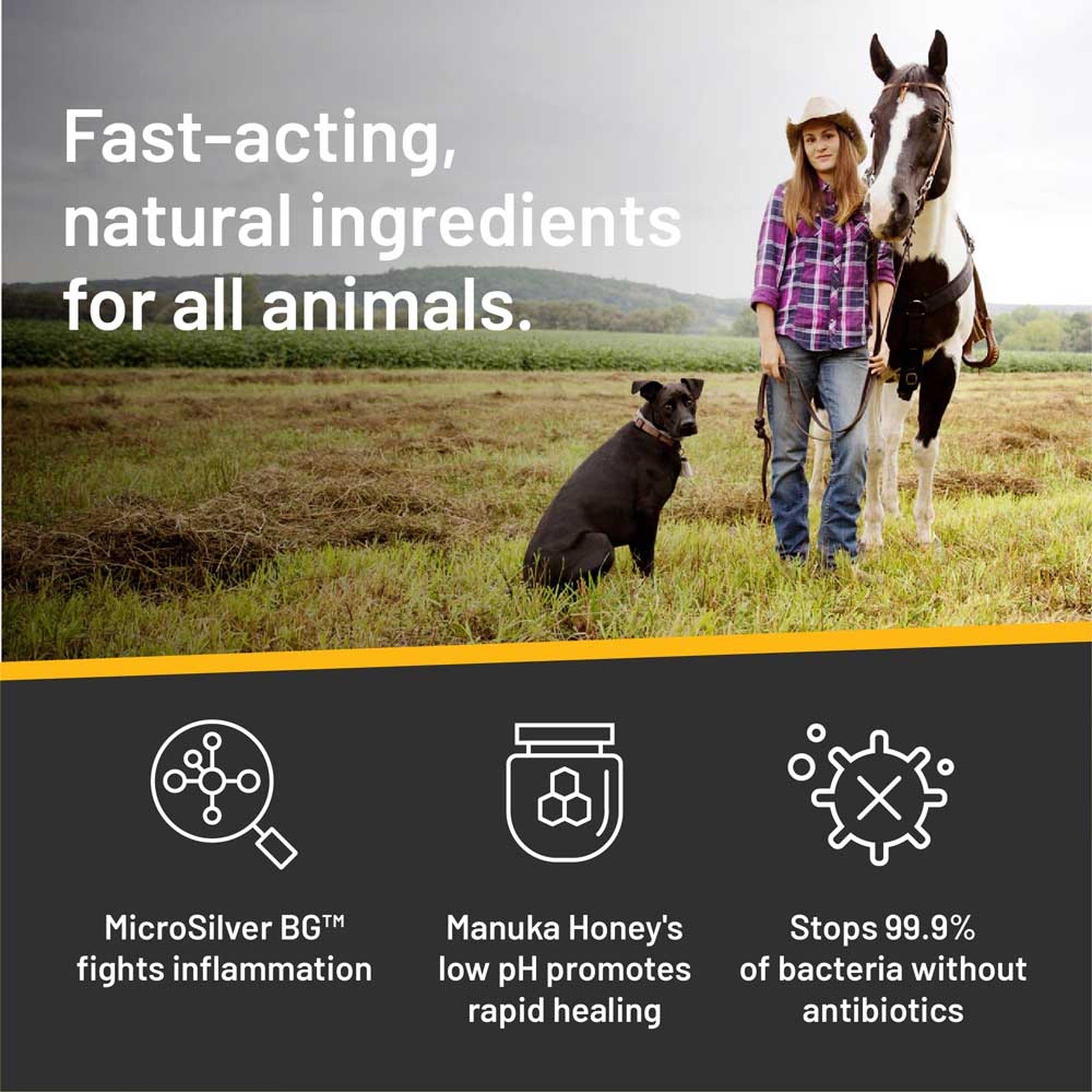 Silver Honey rapid skin relief medicated shampoo, fast-acting natural ingredients for all animals