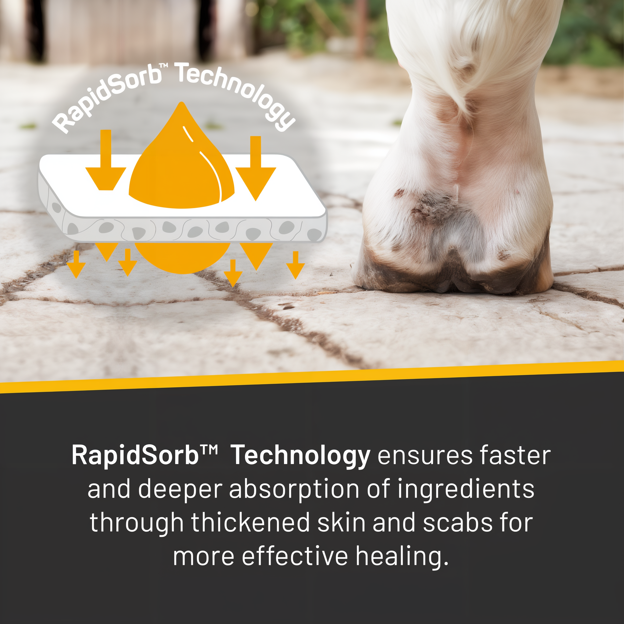 Silver Honey vet strength scratches spray, RapidSorb technology absorbs through thickened skin and scabs