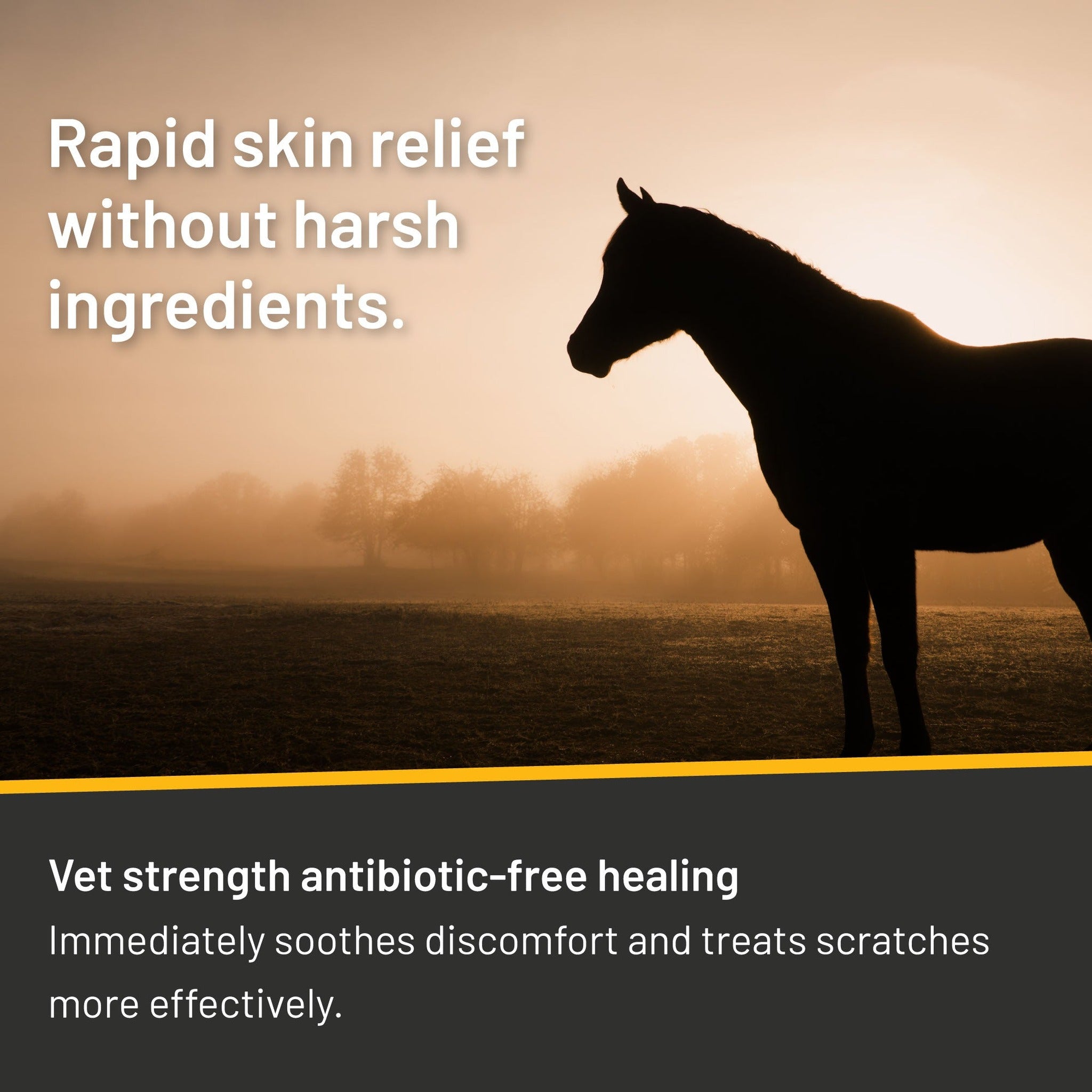 Silver Honey vet strength scratches spray, vet strength antibiotic-free healing