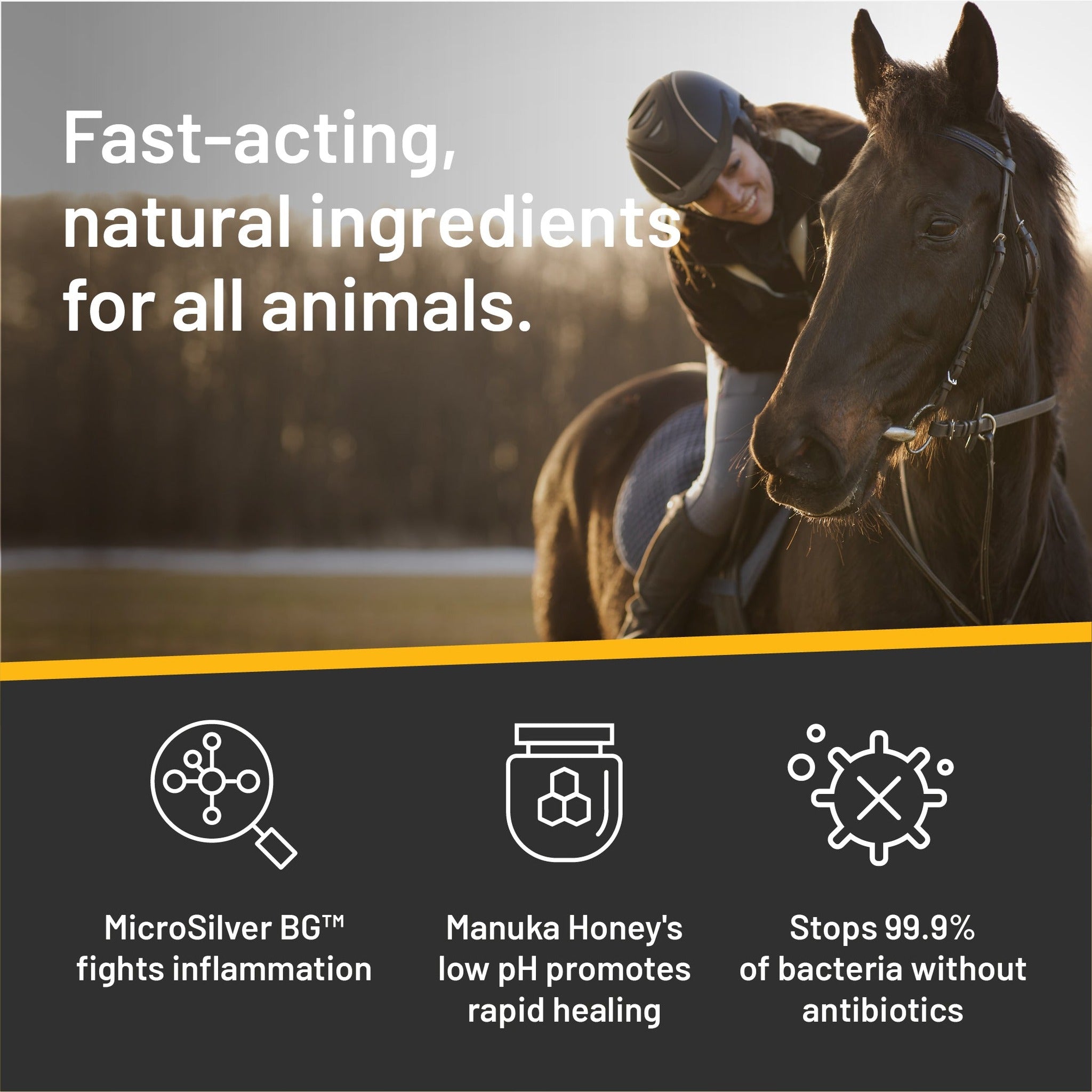 Silver Honey rapid wound repair ointment, fast-acting natural ingredients for all animals