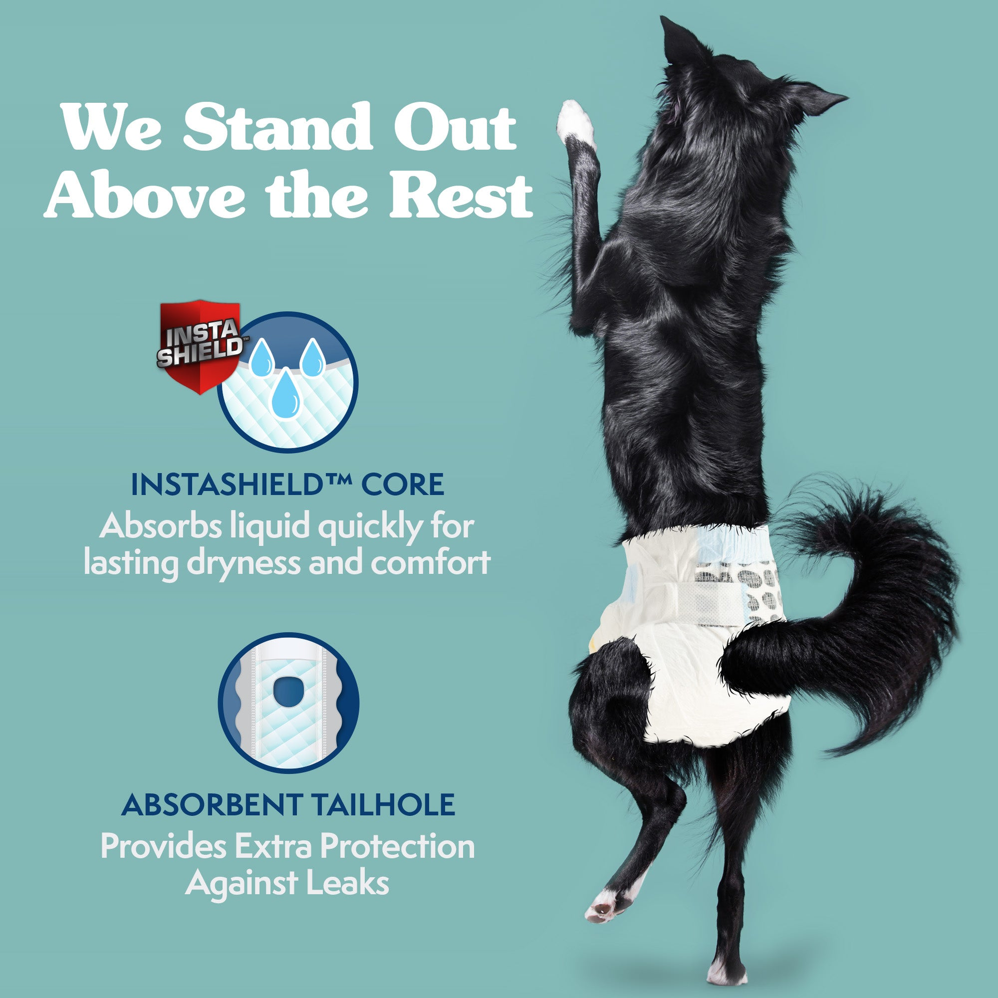 Simple Solution Disposable Female Dog Diapers InstaShield core absorbs quickly and the absorbent tail hole adds leak protection