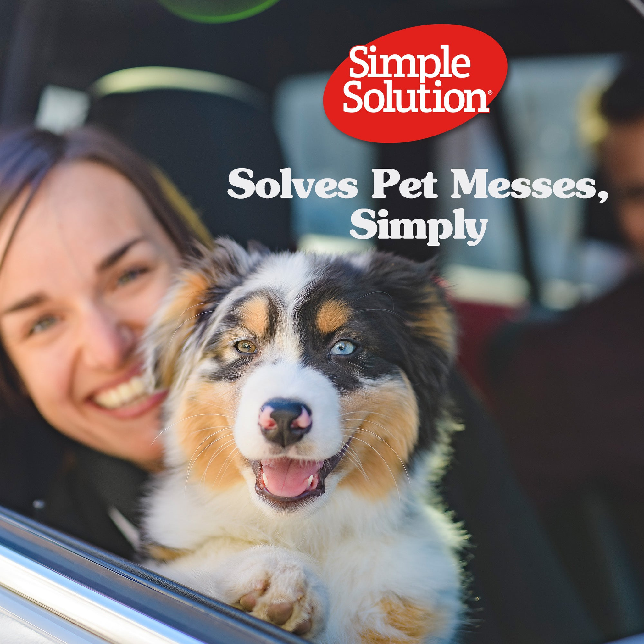 Dog riding in a car wearing Simple Solution Disposable Female Dog Diapers; solves pet messes simply