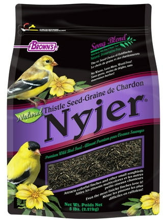 Song Blend Nyjer Thistle Seed