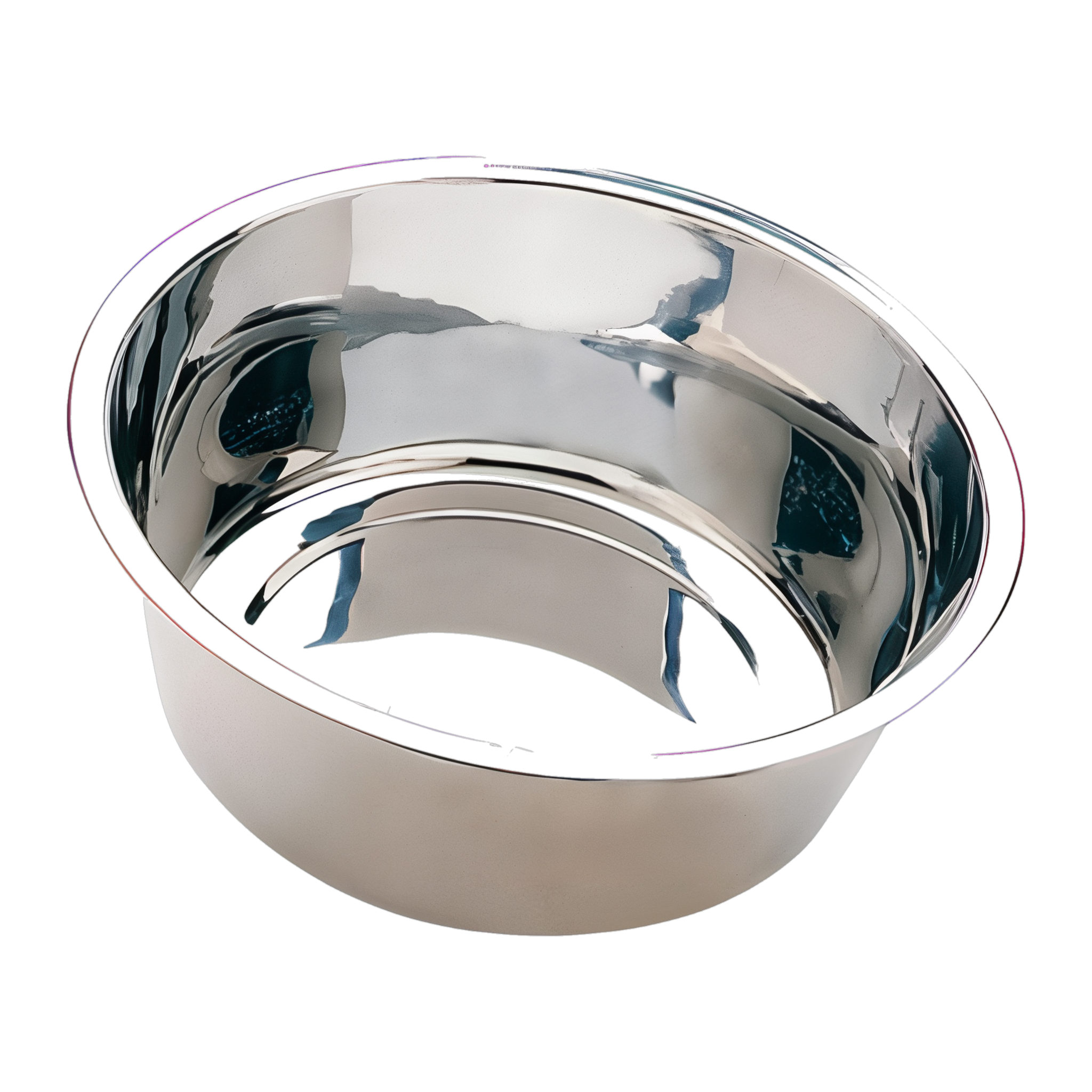 Spot Diner Time Stainless Steel Pet Dish 1 Pint