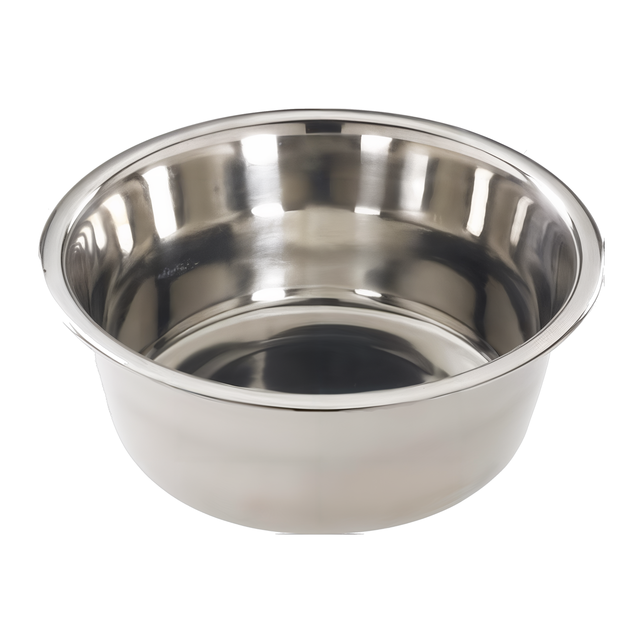 Spot Diner Time Stainless Steel Pet Dish 2 Quart