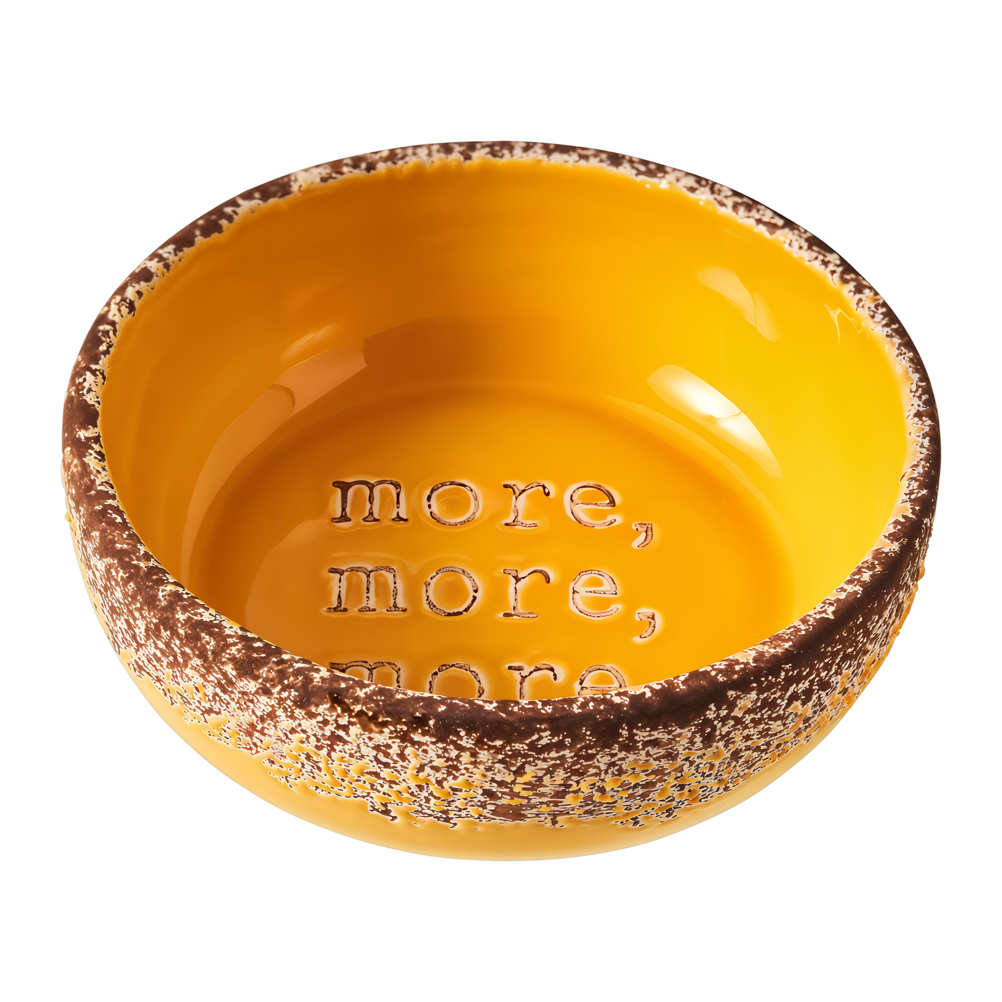 Spot More More Dog Dish 5 in