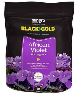 Sun Gro Horticulture Black Gold African Violet Mix