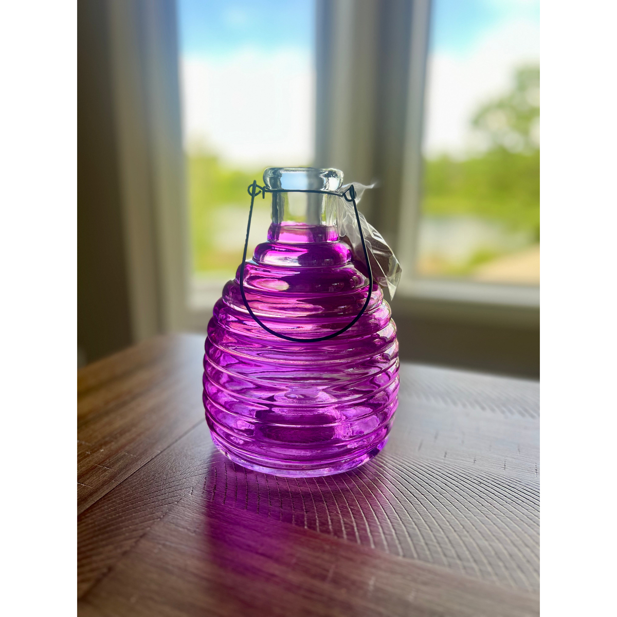 Sunset Vista Designs Glass Wasp Trap -- purple trap shown on a table