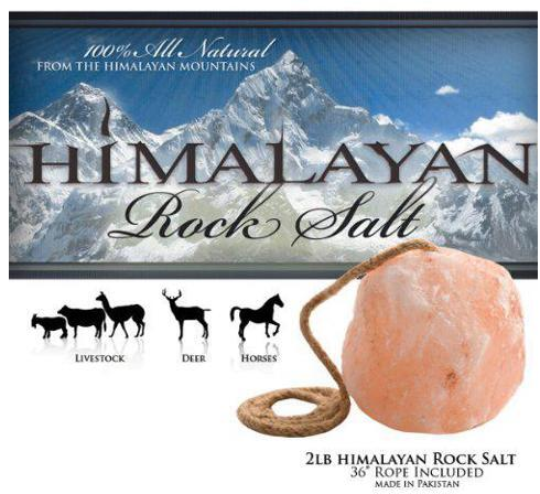 Himalayan Rock Salt Lick On A Rope