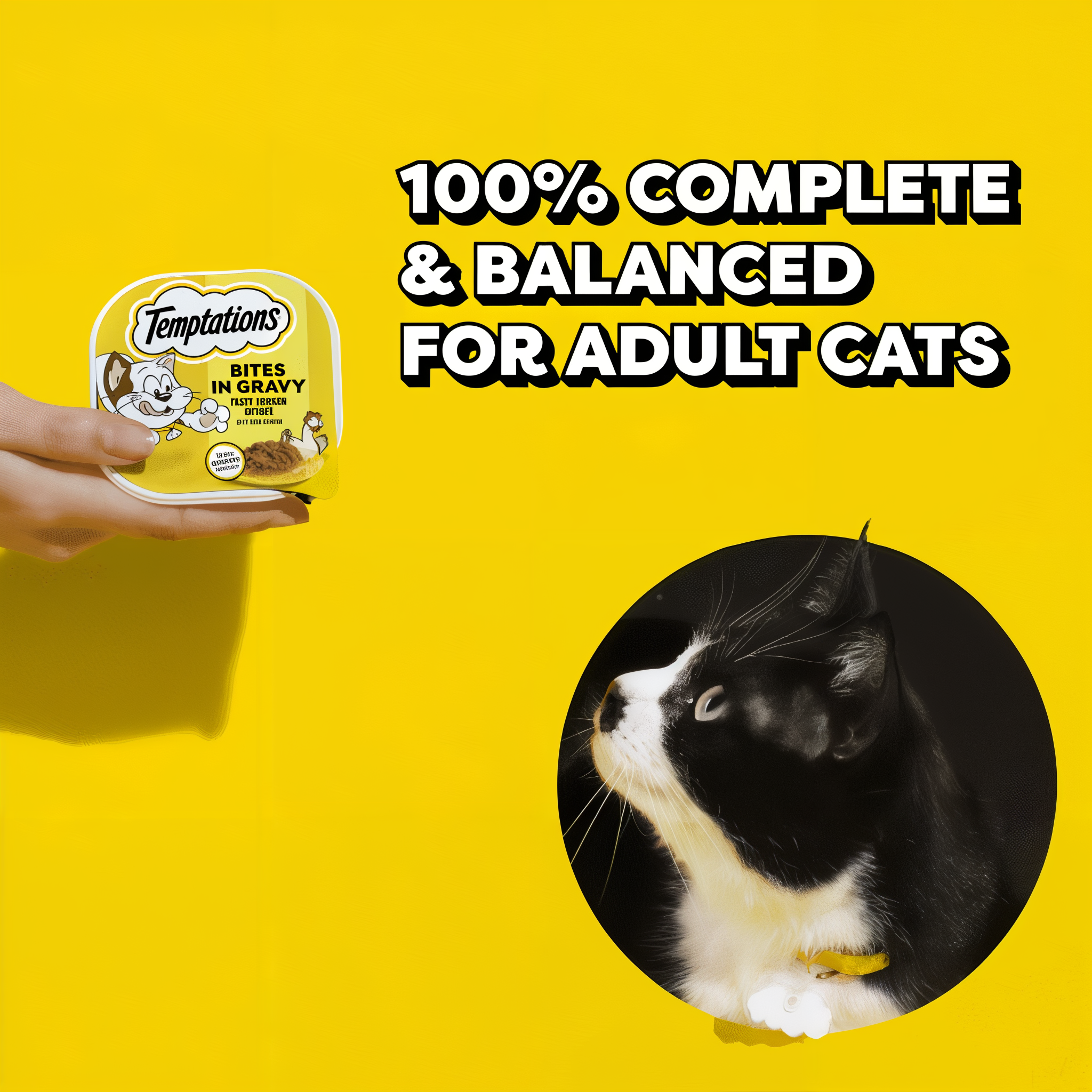 Temptations Bites in Gravy Tasty Chicken Flavor Wet Cat Food product detail 2
