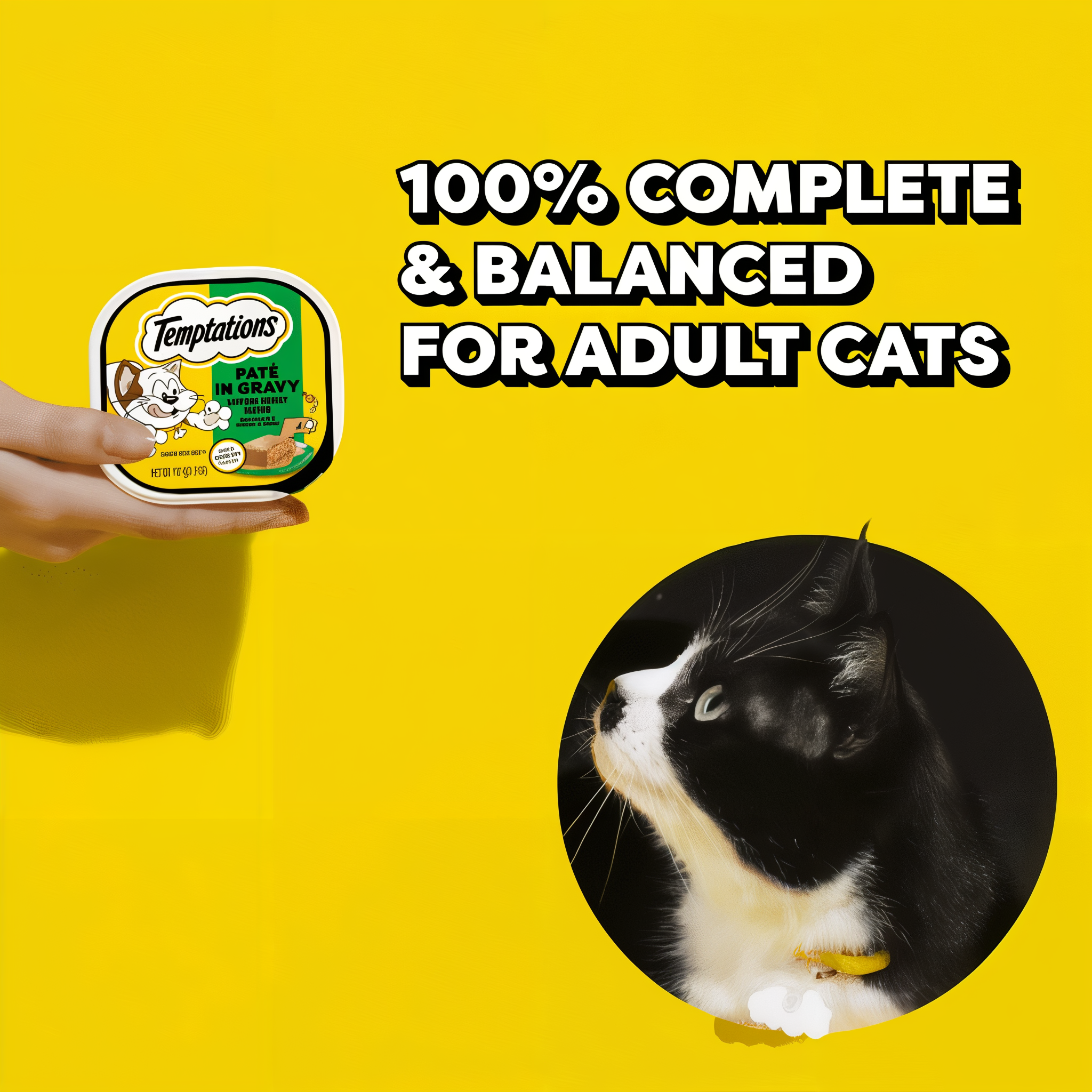 Temptations Pate in Gravy Seafood Medley Flavor Wet Cat Food product detail 2