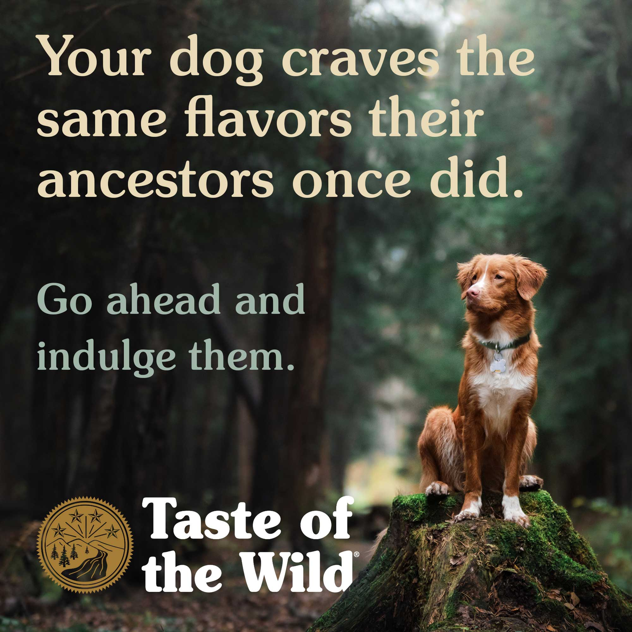 Dog standing on a mossy stump in the forest with the message that your dog craves the same flavors their ancestors once did