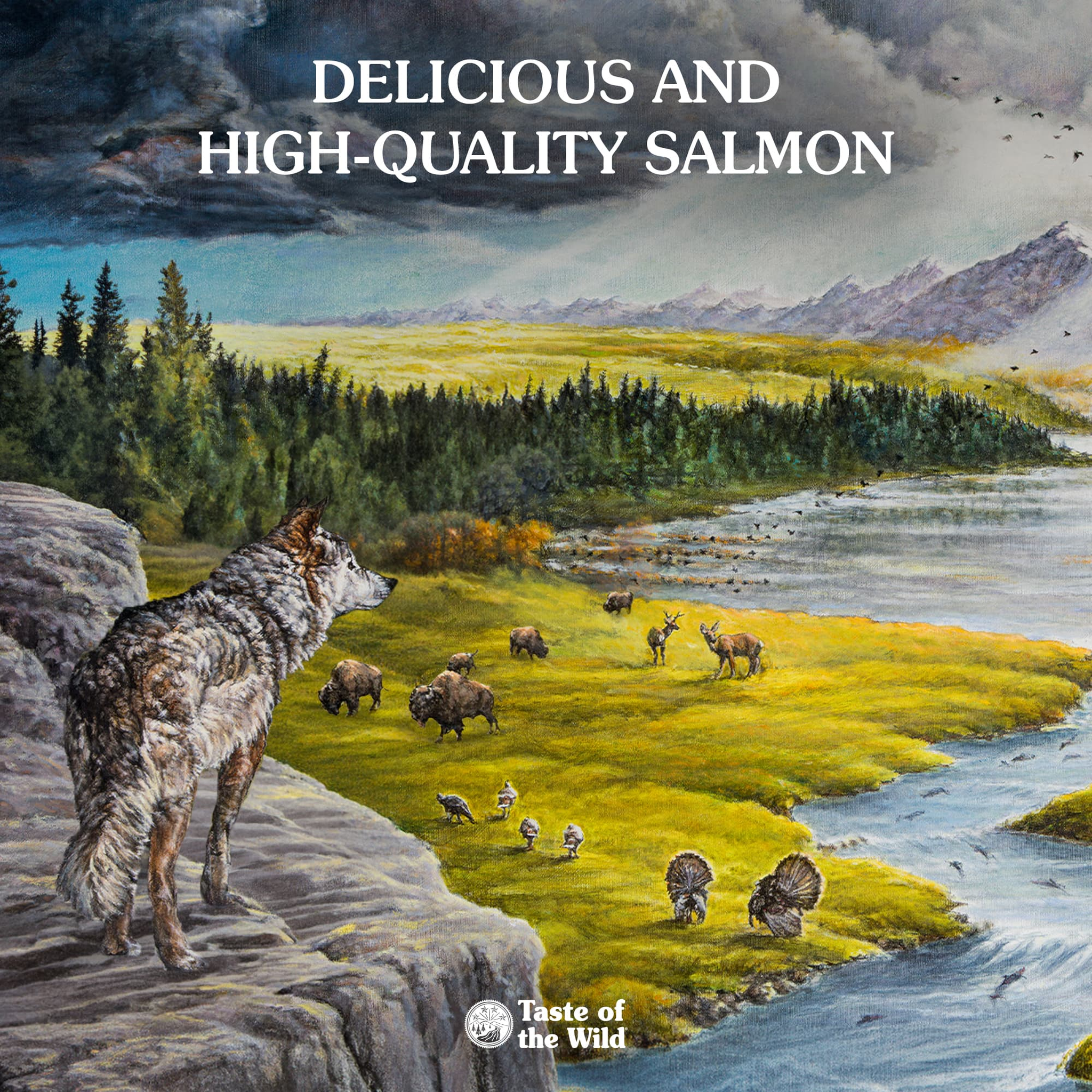 Painted wilderness artwork celebrating delicious, high-quality salmon