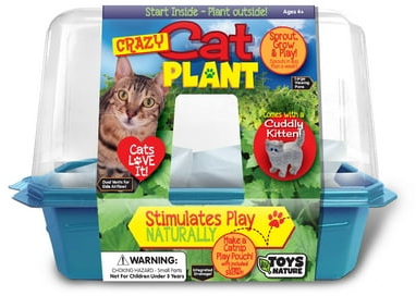 Toys By Nature Crazy Cat Plant Indoor Micro-Gardening Kit