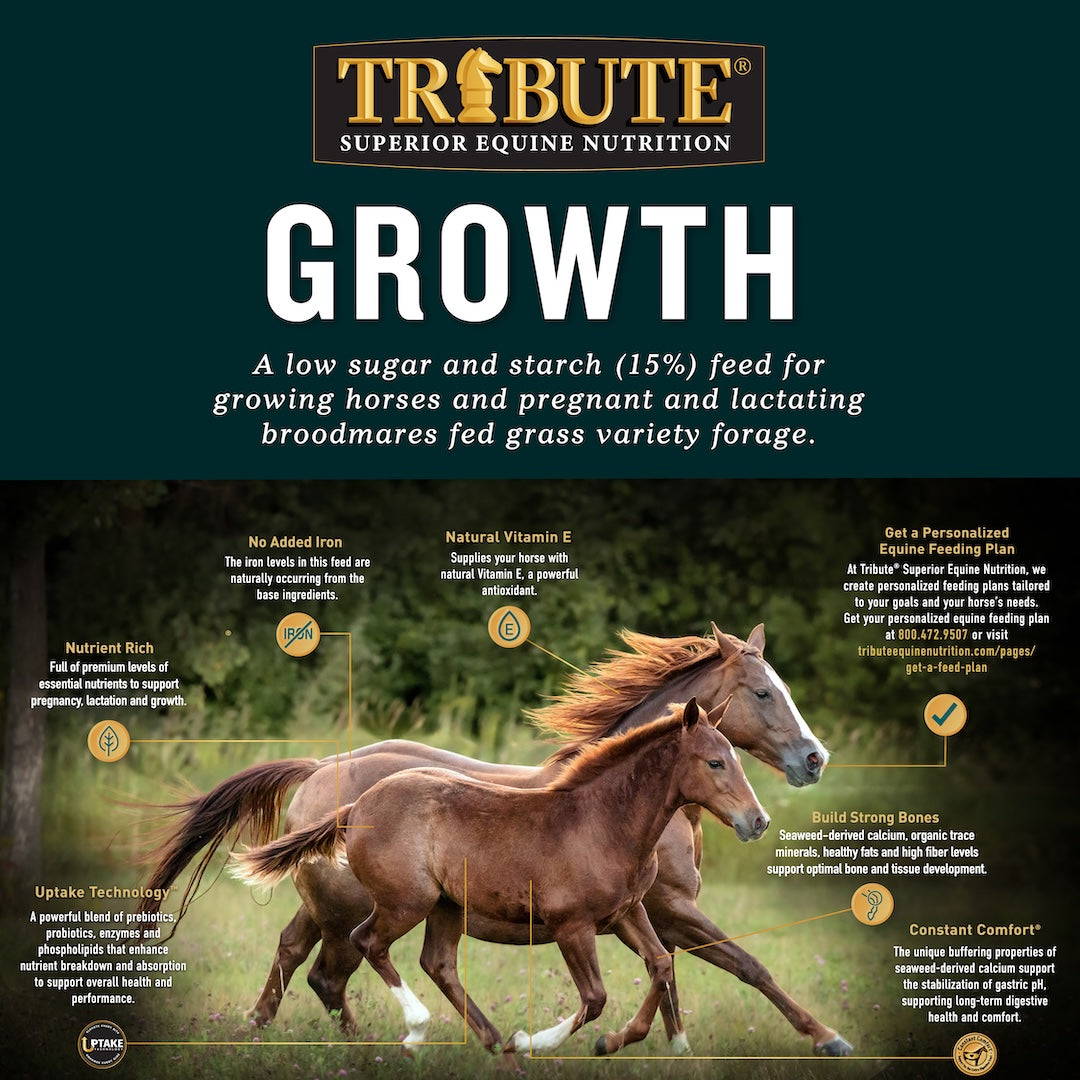 Tribute Growth Pellet benefits infographic: no added iron, natural Vitamin E, Uptake Technology, and Constant Comfort
