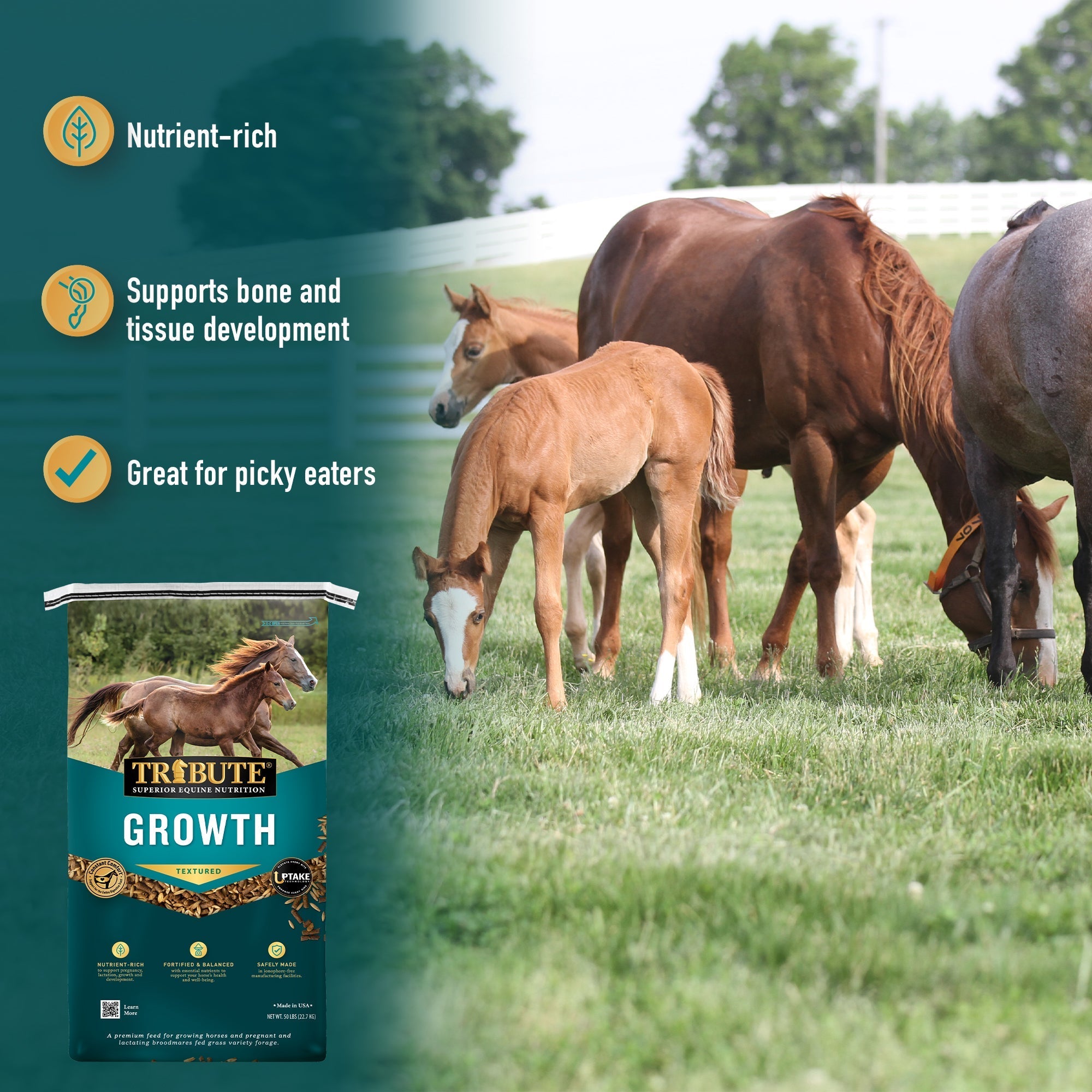 Tribute Growth Textured benefits: nutrient-rich, supports bone and tissue development, great for picky eaters