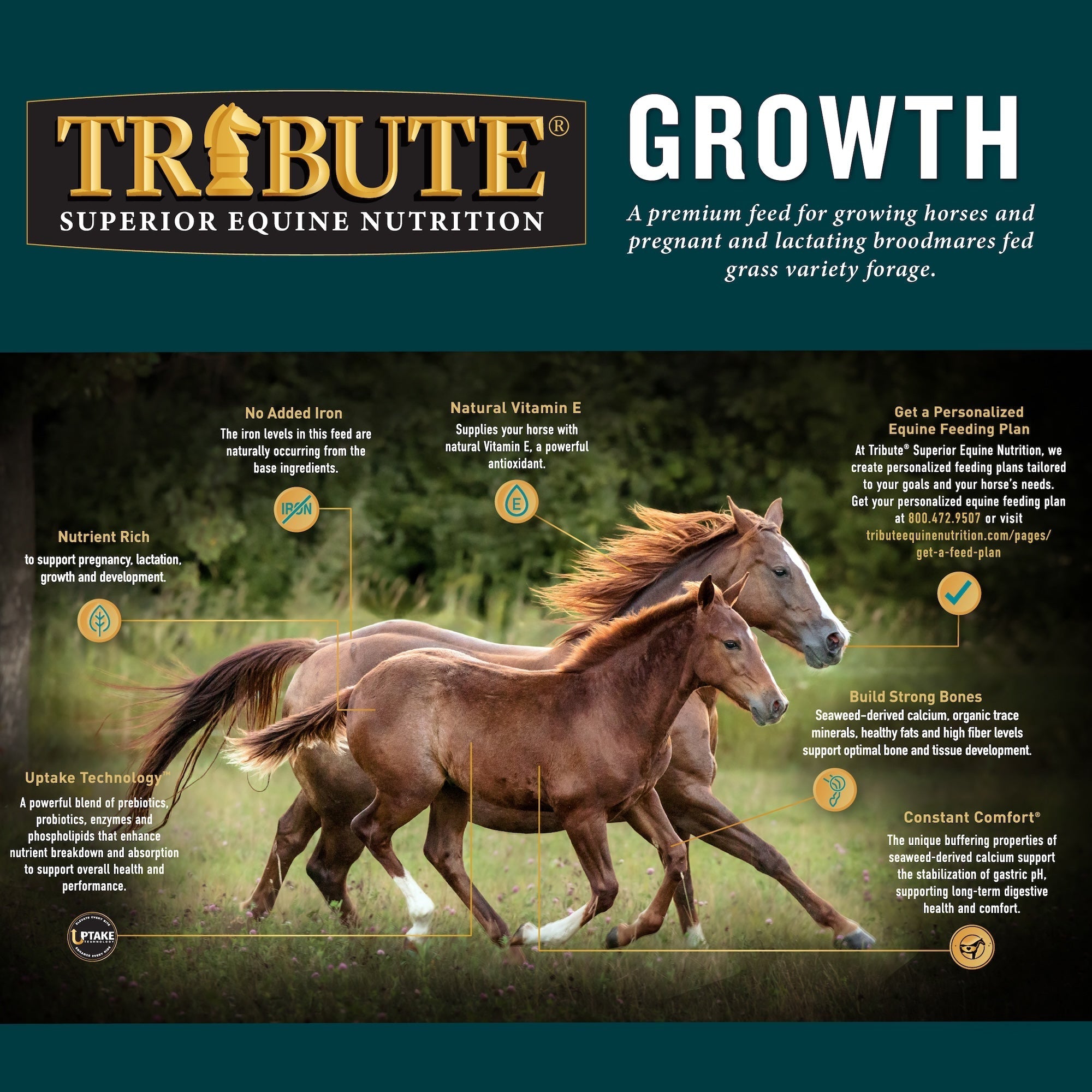 Tribute Growth Textured highlights: no added iron, natural vitamin E, Uptake Technology, strong bones