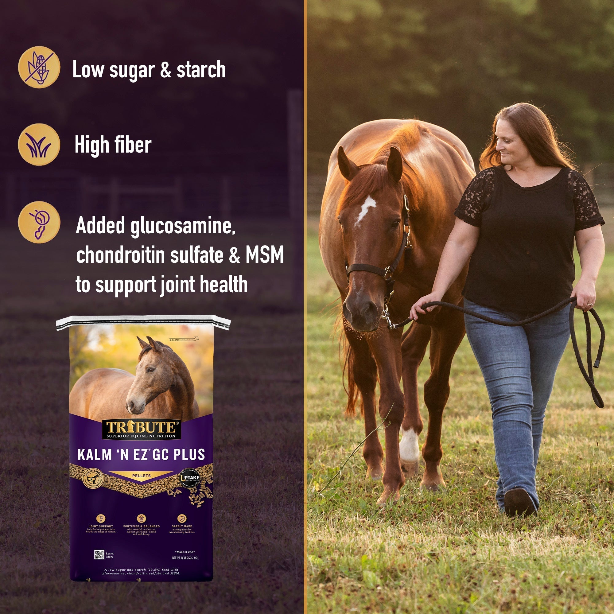 Kalm 'N EZ GC Plus benefits: low sugar and starch, high fiber, added glucosamine, chondroitin sulfate and MSM
