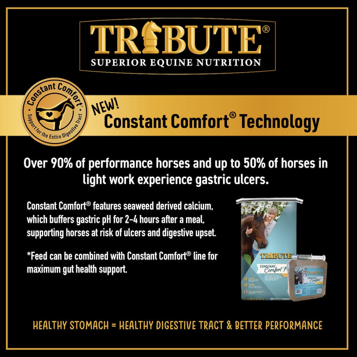 Tribute Constant Comfort Technology infographic on seaweed-derived calcium gastric buffering